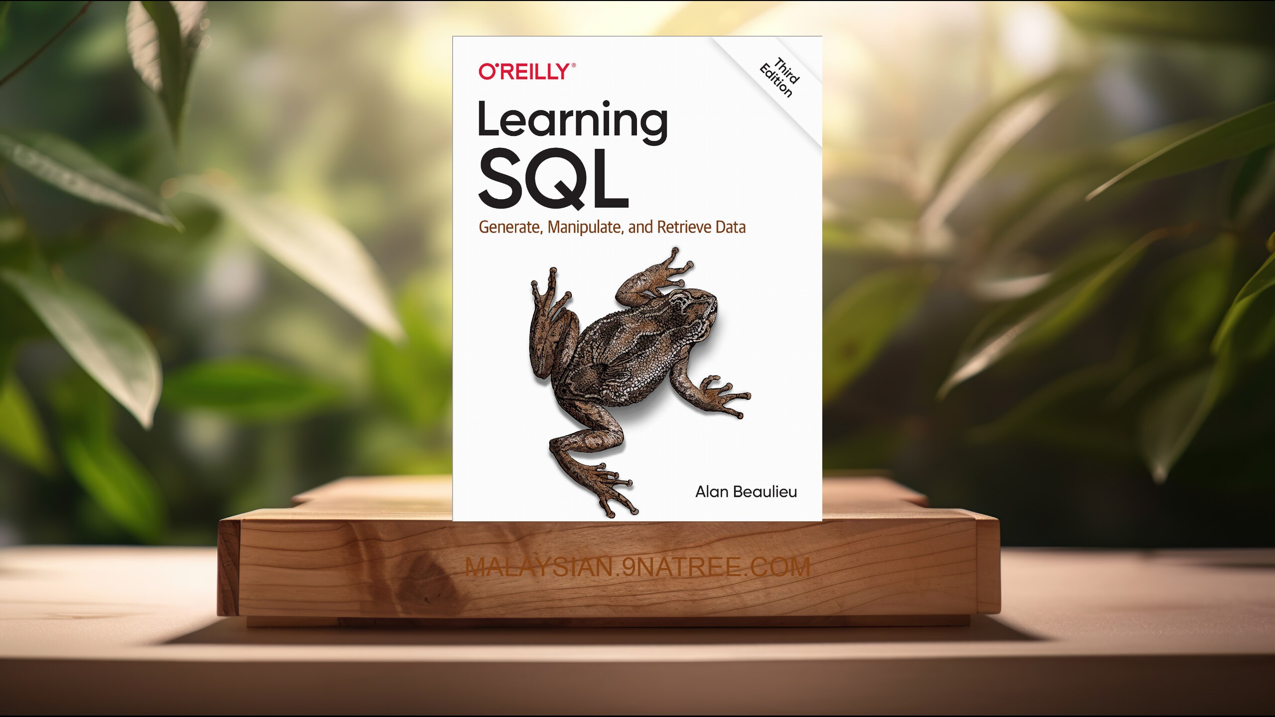 [Ulasan] Learning SQL: Generate, Manipulate, and Retrieve Data (Alan Beaulieu) Diringkaskan.