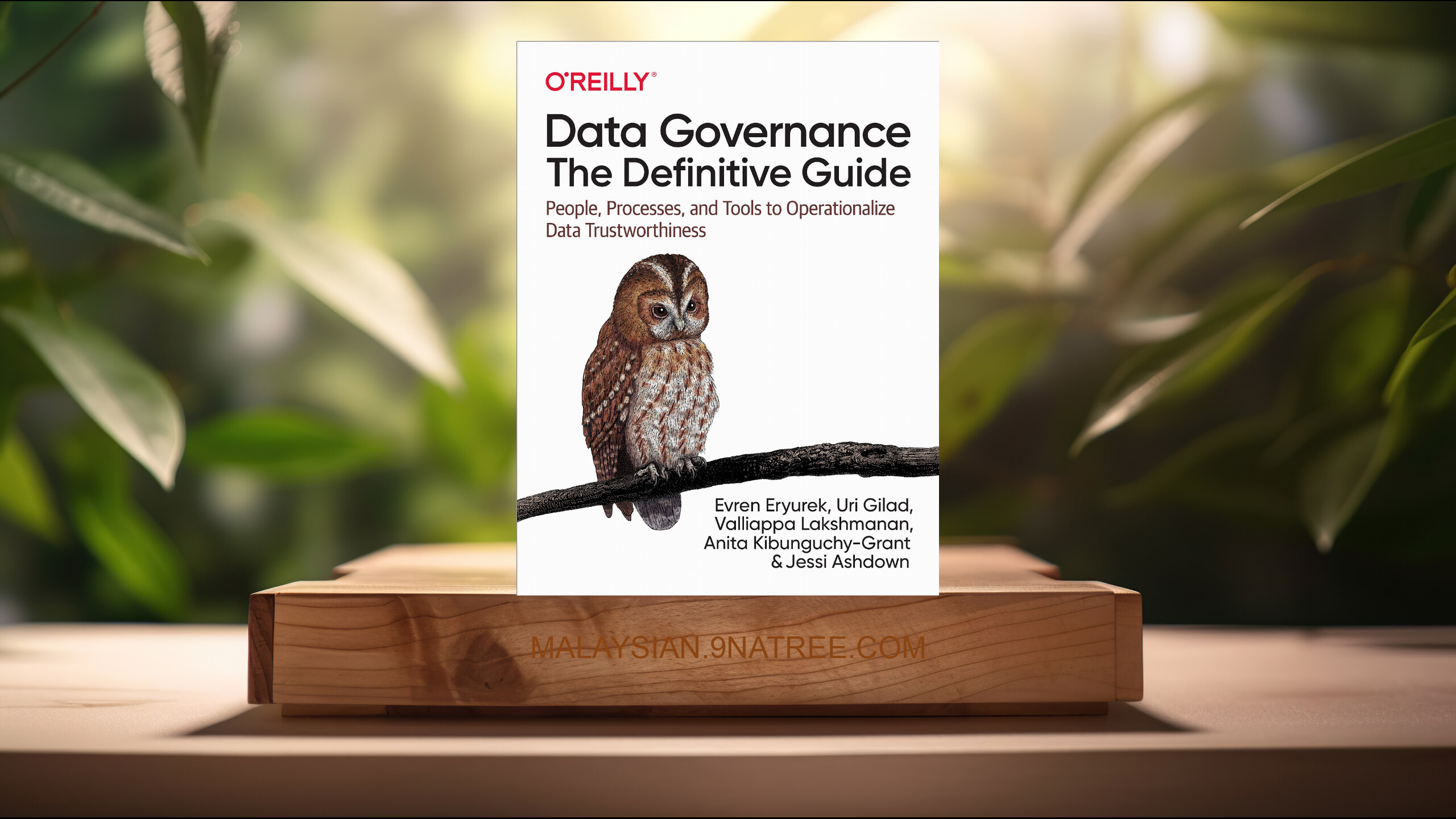 [Ulasan] Data Governance (Evren Eryurek) Diringkaskan.