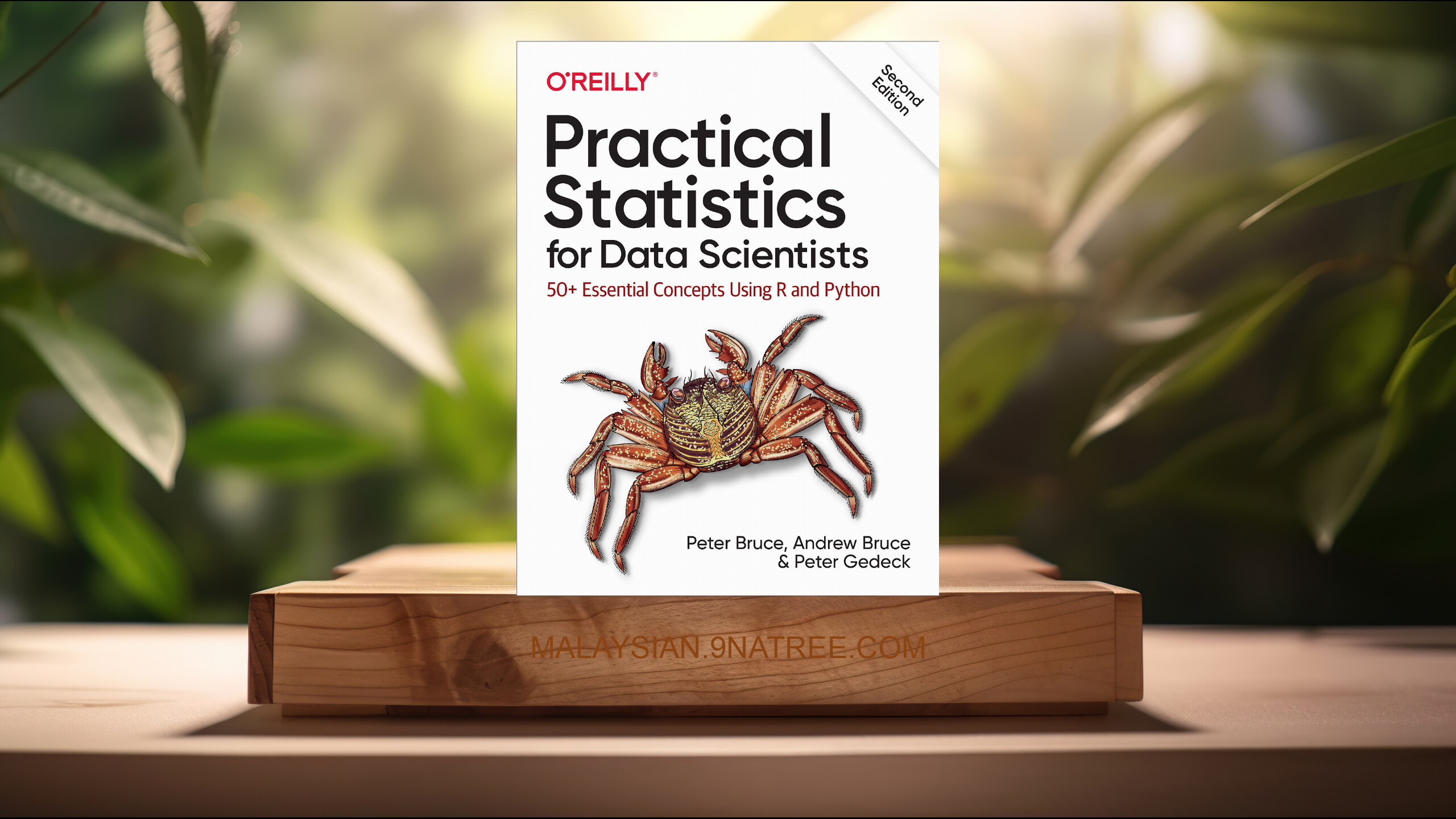 [Ulasan] Practical Statistics for Data Scientists (Peter Bruce) Diringkaskan.