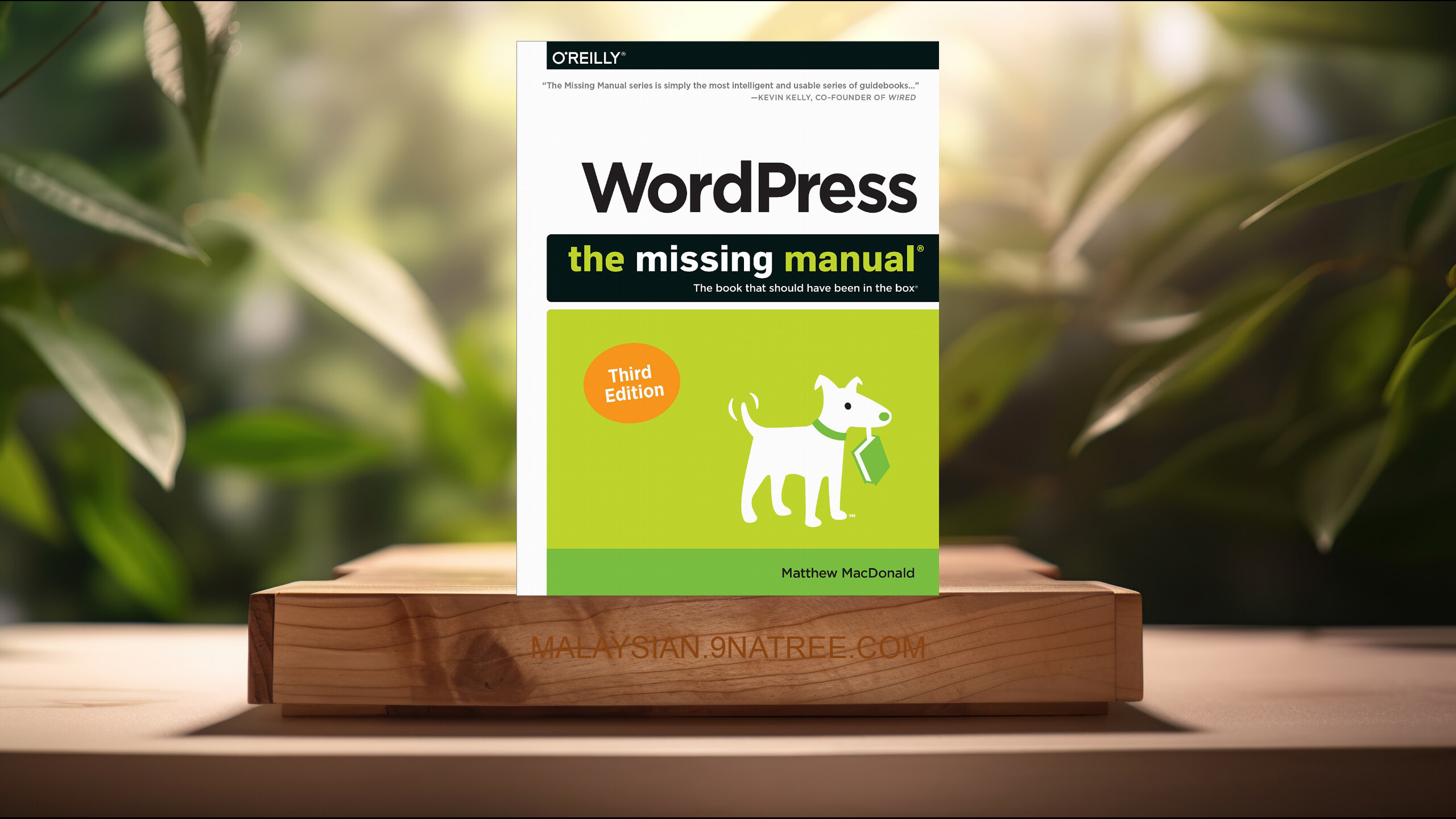 [Ulasan] WordPress (Matthew MacDonald) Diringkaskan.