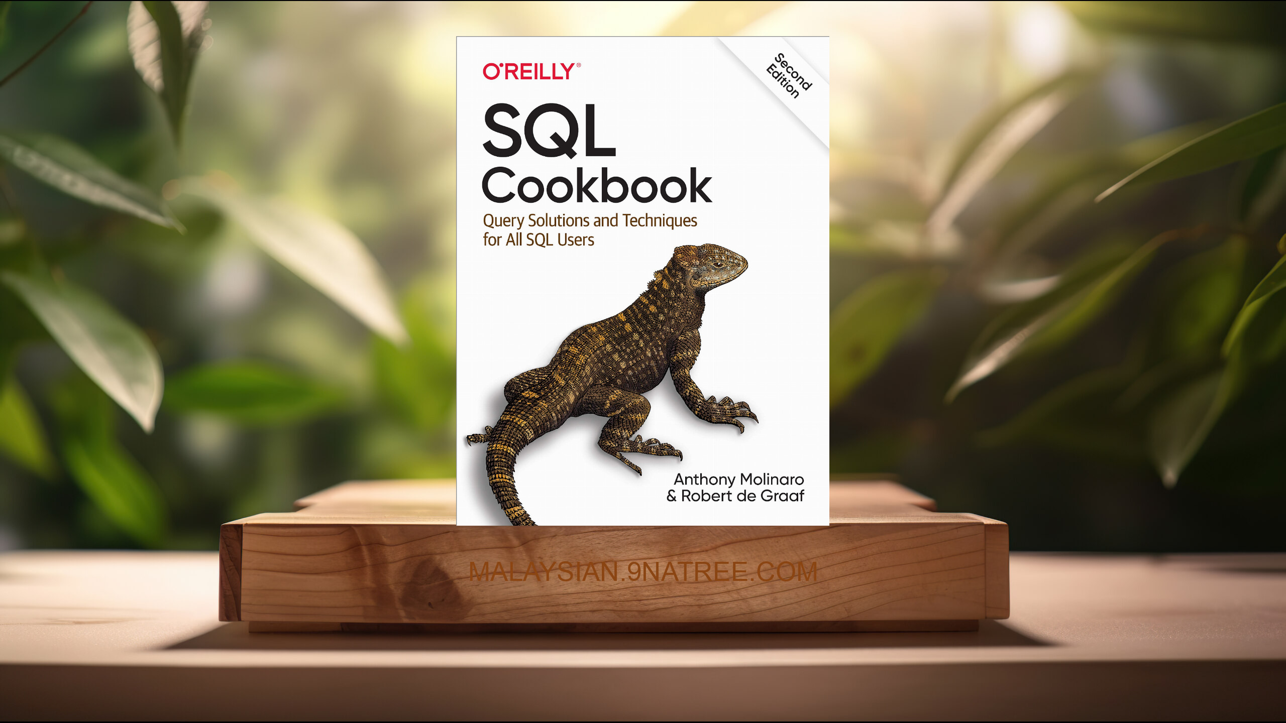 [Ulasan] SQL Cookbook: Query Solutions and Techniques for All SQL Users (Anthony Molinaro) Diringkaskan.