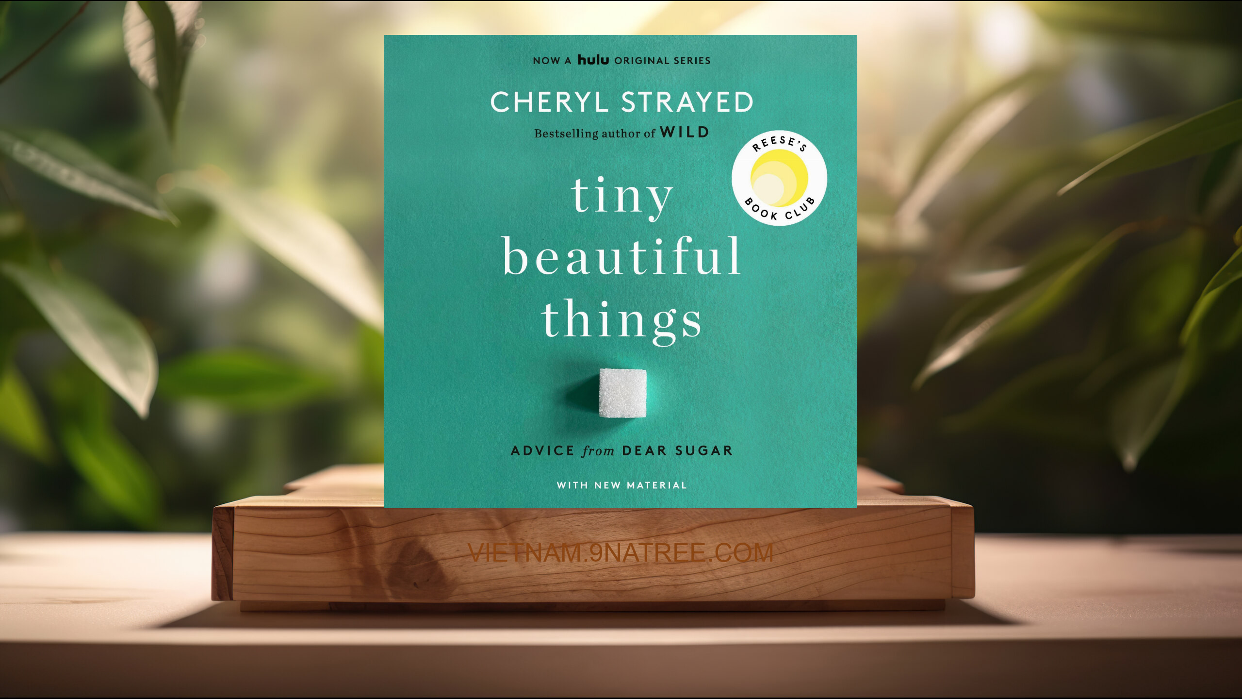 [Đánh giá] Tiny Beautiful Things : Advice from Dear Sugar (Cheryl Strayed) Tóm tắt.