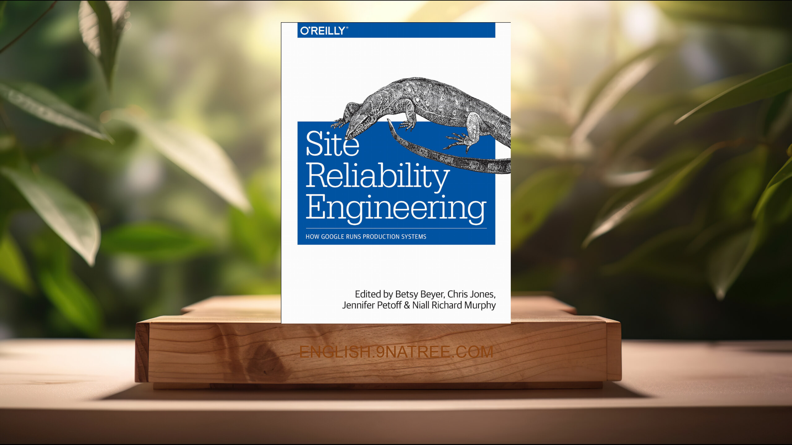 [Review] Site Reliability Engineering: How Google Runs Production Systems (Jennifer Petoff) Summarized.