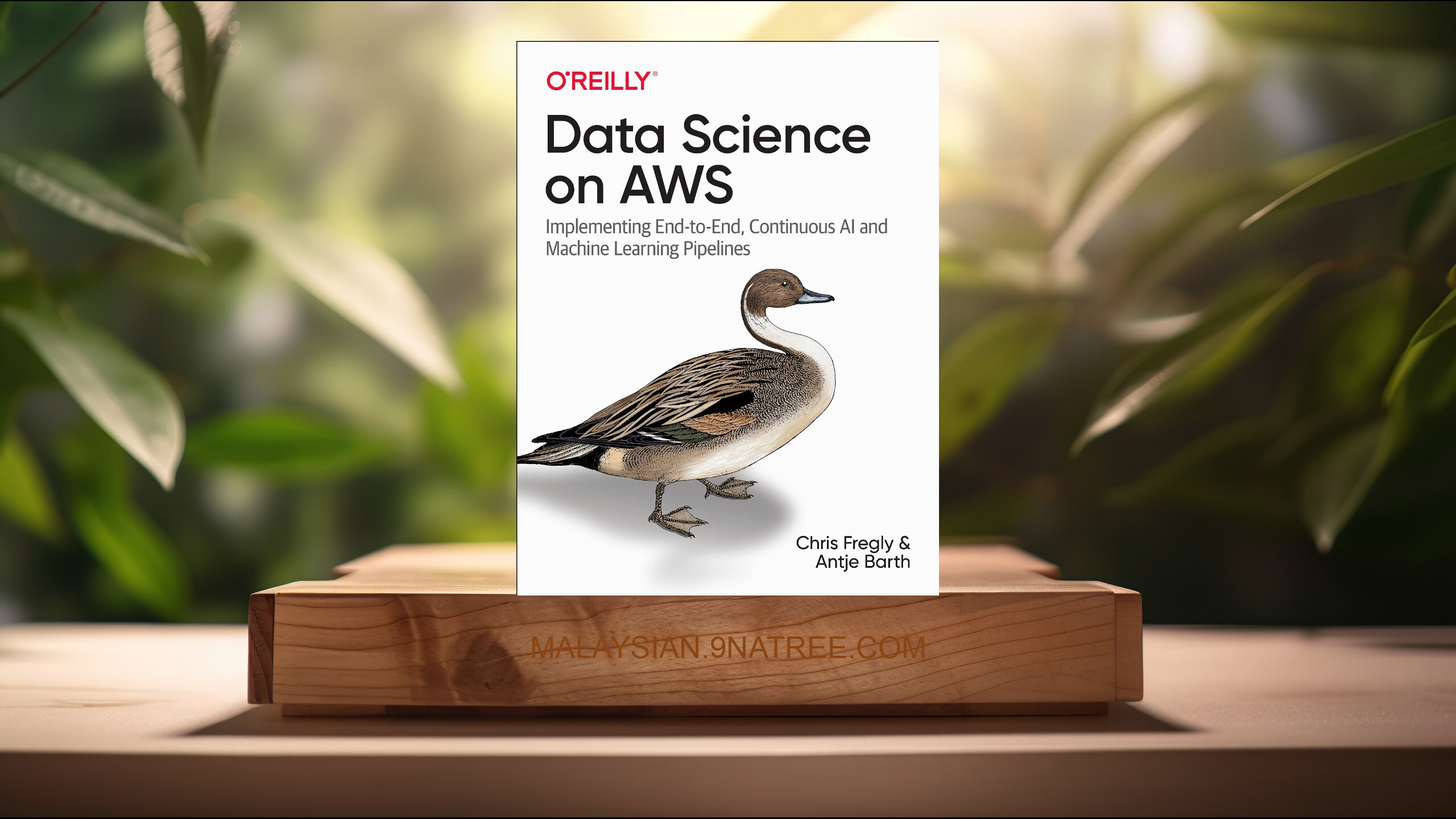 [Ulasan] Data Science on AWS (Chris Fregly) Diringkaskan.