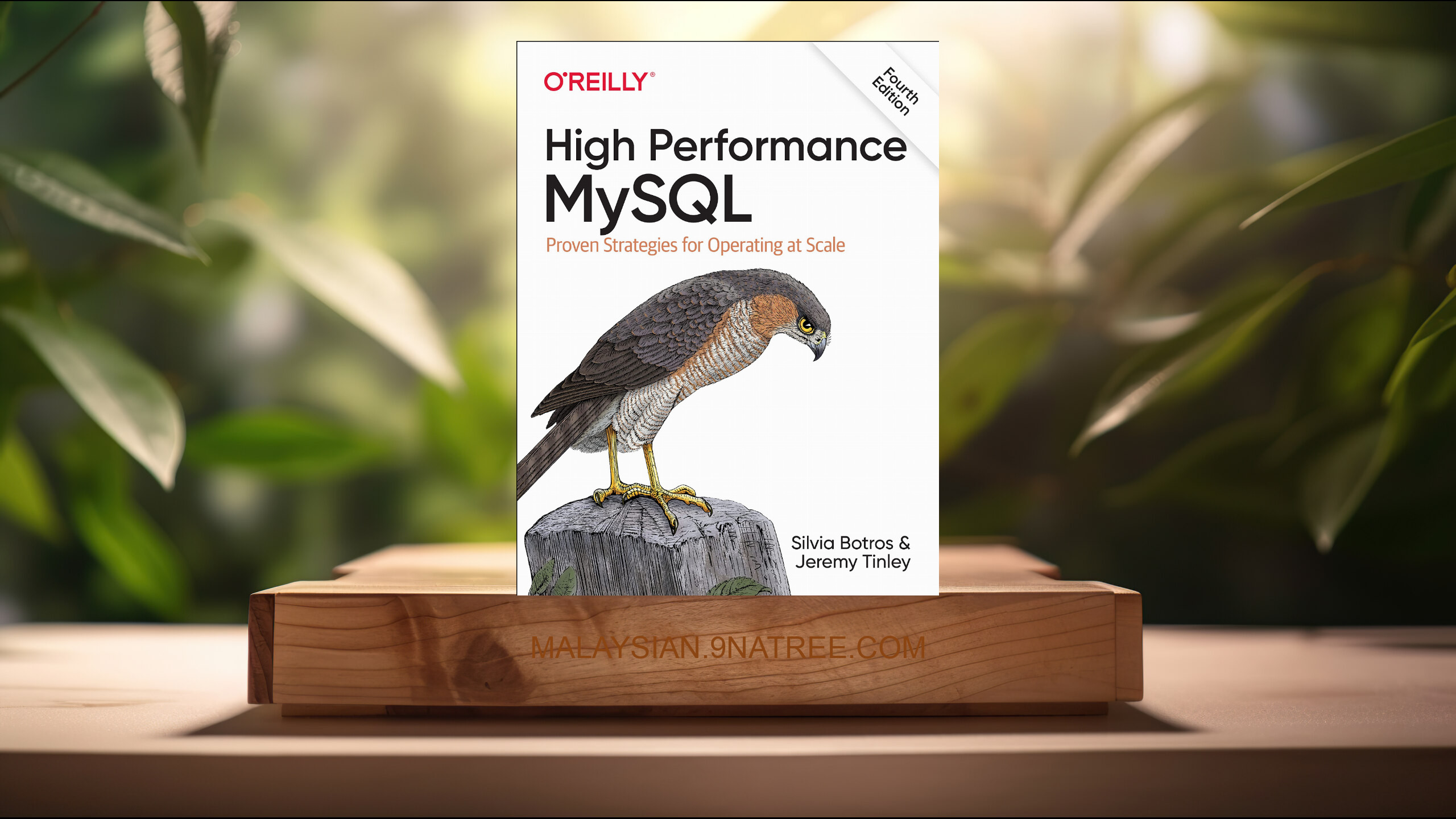 [Ulasan] High Performance MySQL: Proven Strategies for Operating at Scale (Silvia Botros) Diringkaskan.