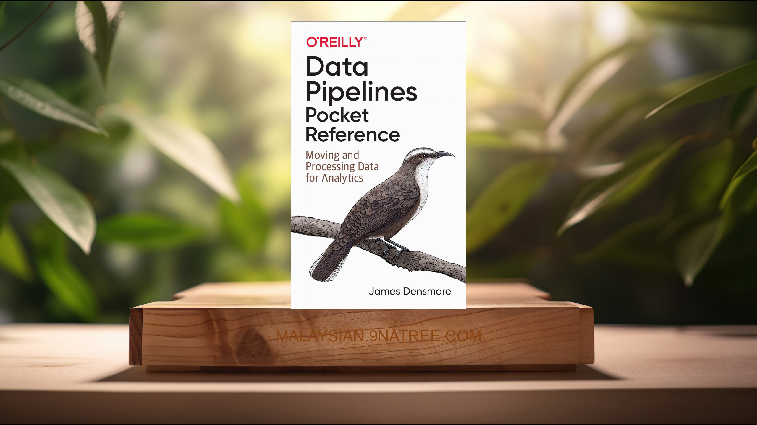 [Ulasan] Data Pipelines Pocket Reference (James Densmore) Diringkaskan.