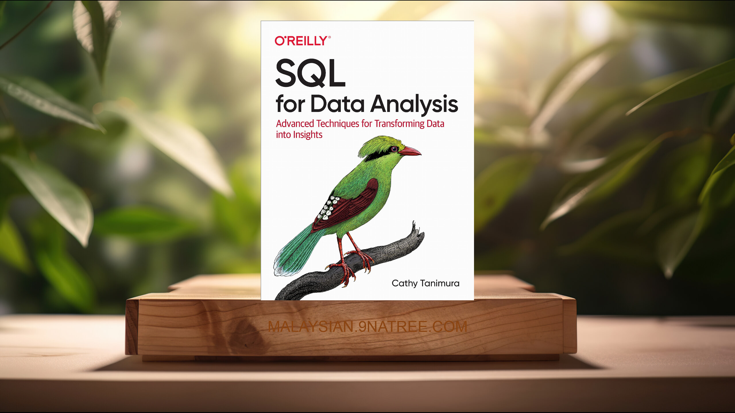 [Ulasan] SQL for Data Analysis (Cathy Tanimura) Diringkaskan.