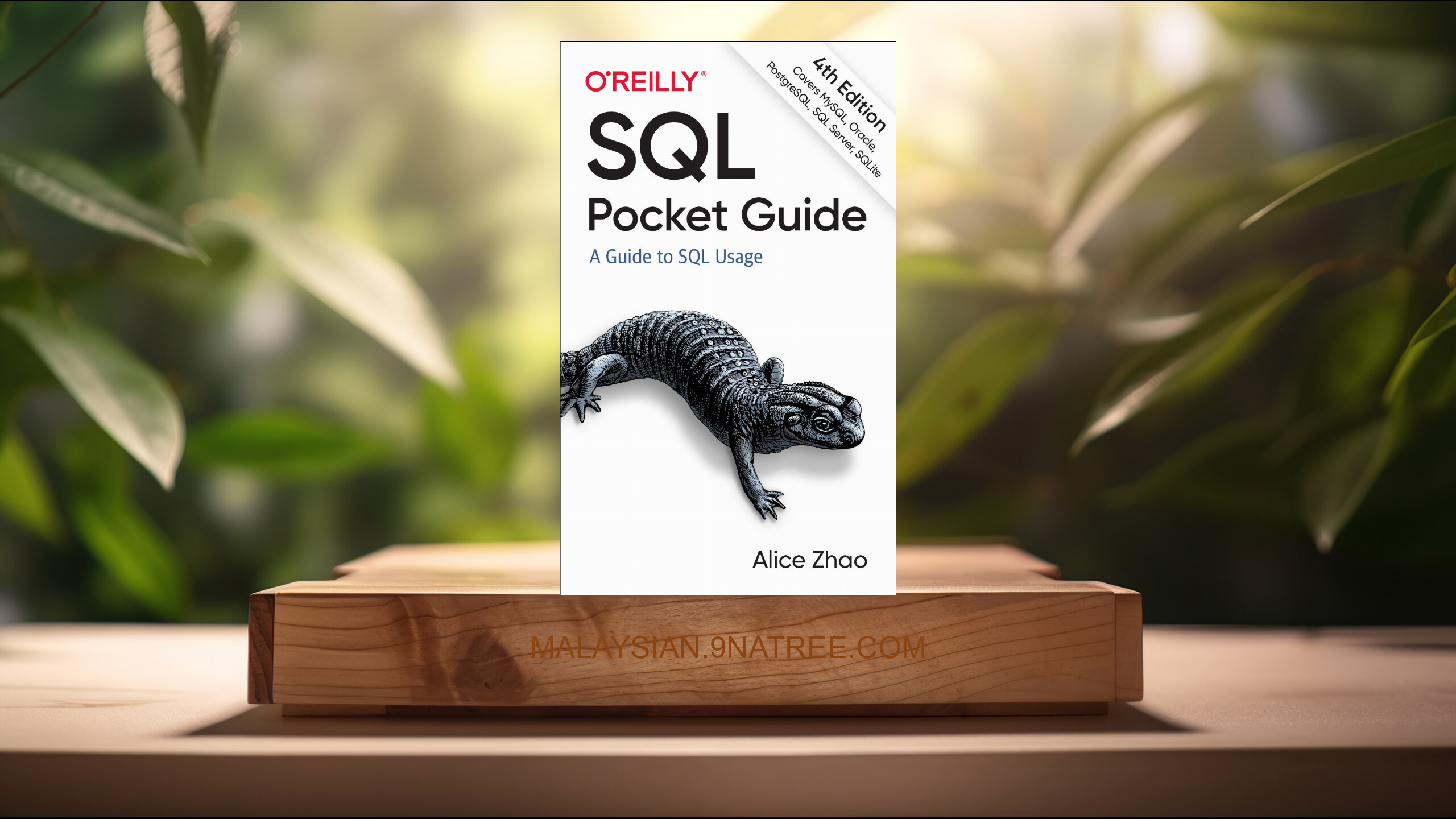 [Ulasan] SQL Pocket Guide: A Guide to SQL Usage (Alice Zhao) Diringkaskan.