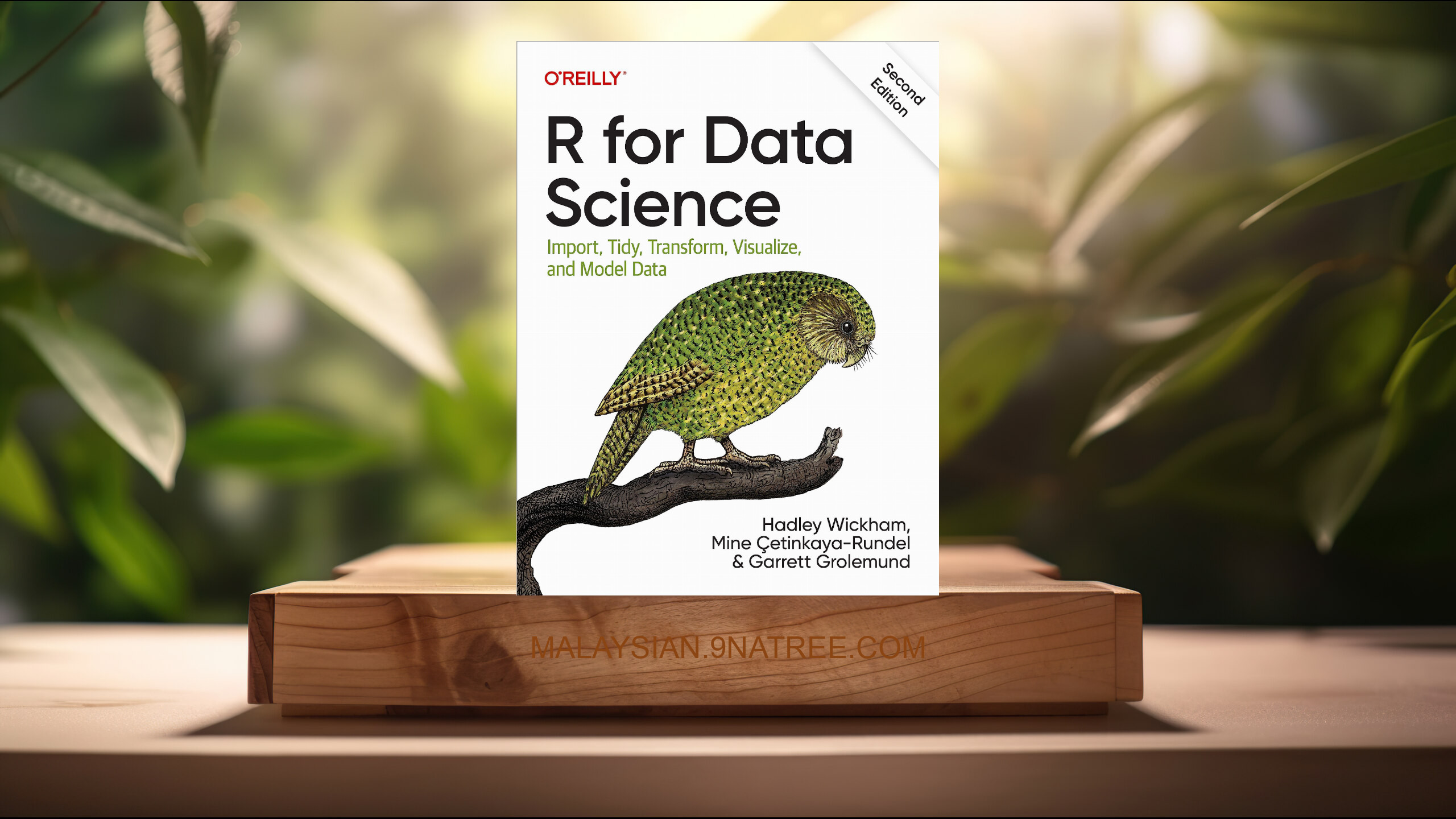 [Ulasan] R for Data Science: Import, Tidy, Transform, Visualize, and Model Data (Hadley Wickham) Diringkaskan.