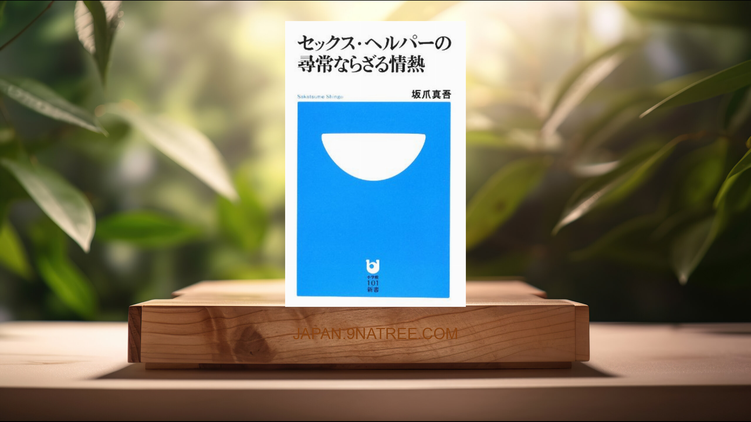 [レビュー] セックス・ヘルパーの尋常ならざる情熱  (坂爪 真吾) 要約した.
