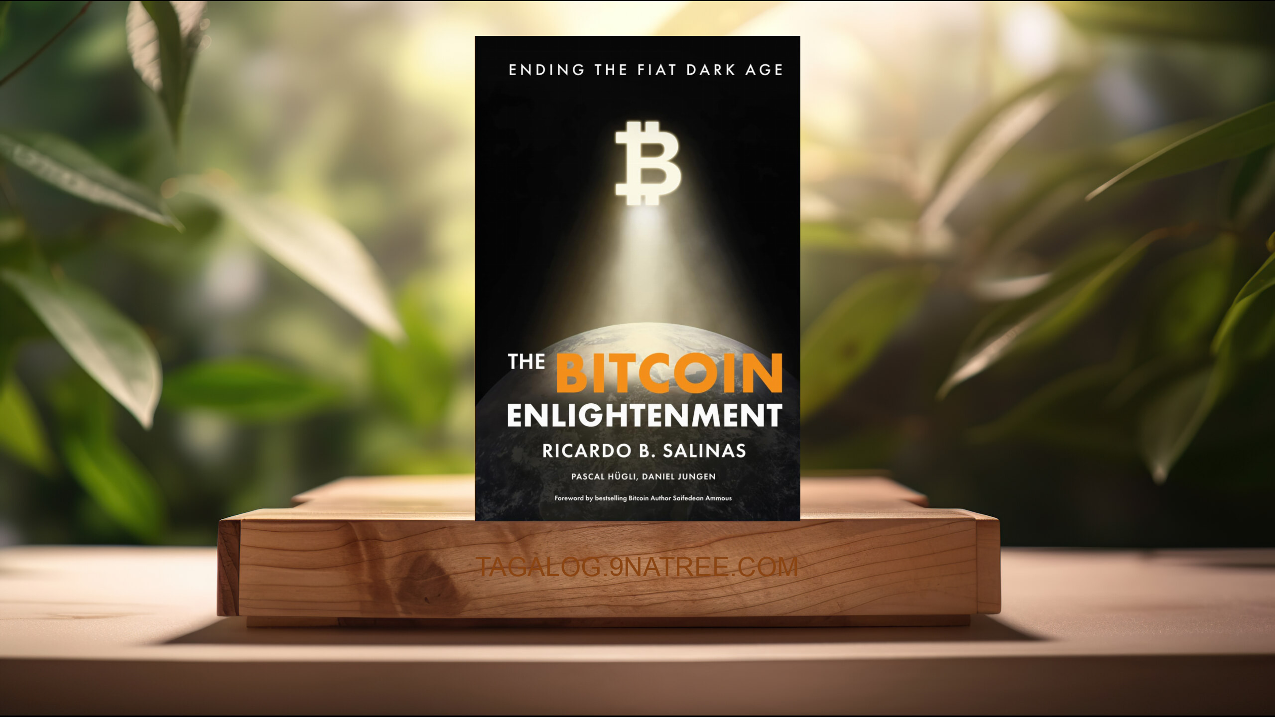 [Pagsusuri] The Bitcoin Enlightenment: Ending The Fiat Dark Age (Ricardo B. Salinas) Nabuod.