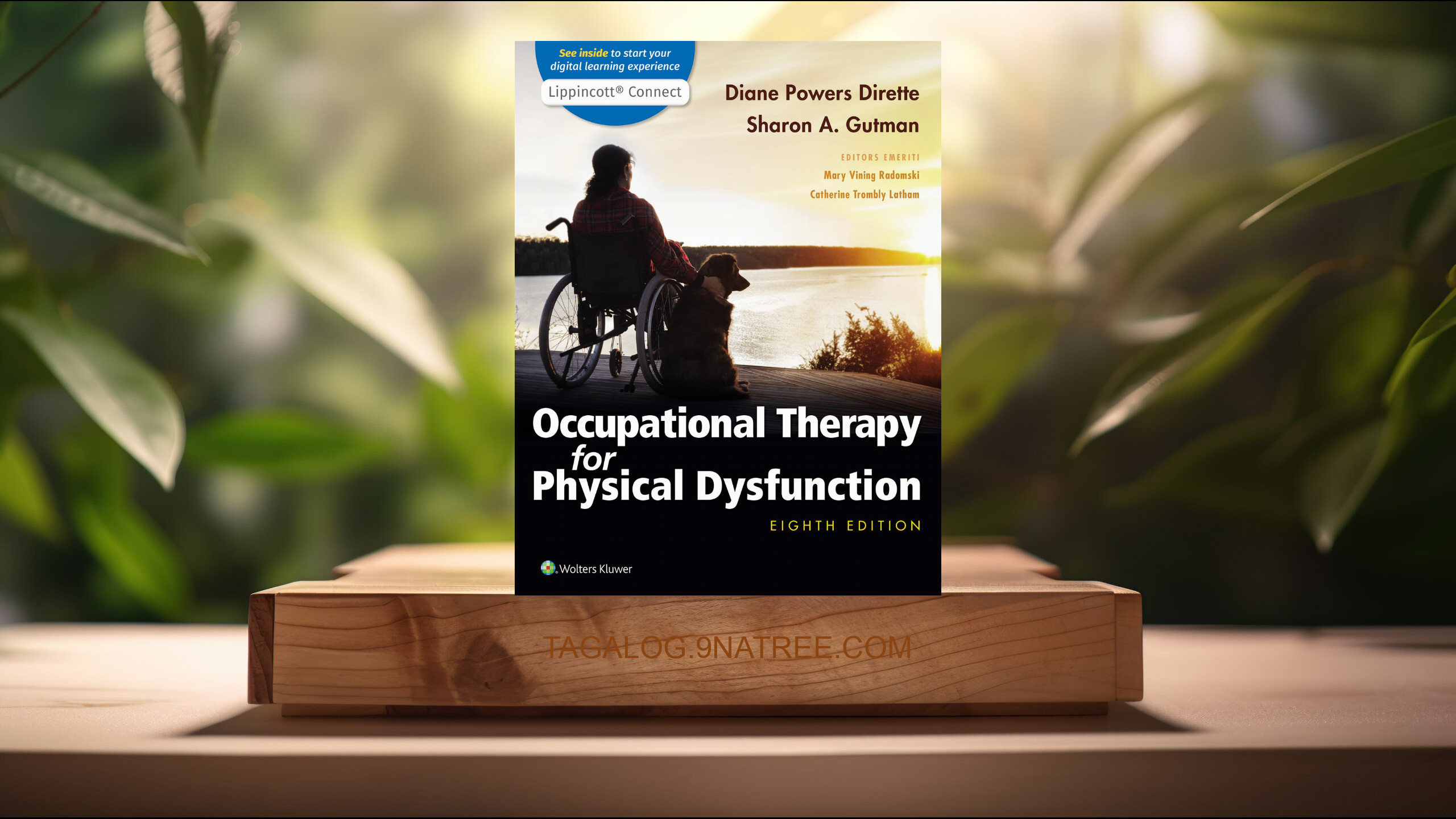 [Pagsusuri] Occupational Therapy for Physical Dysfunction  (Diane Dirette) Nabuod.
