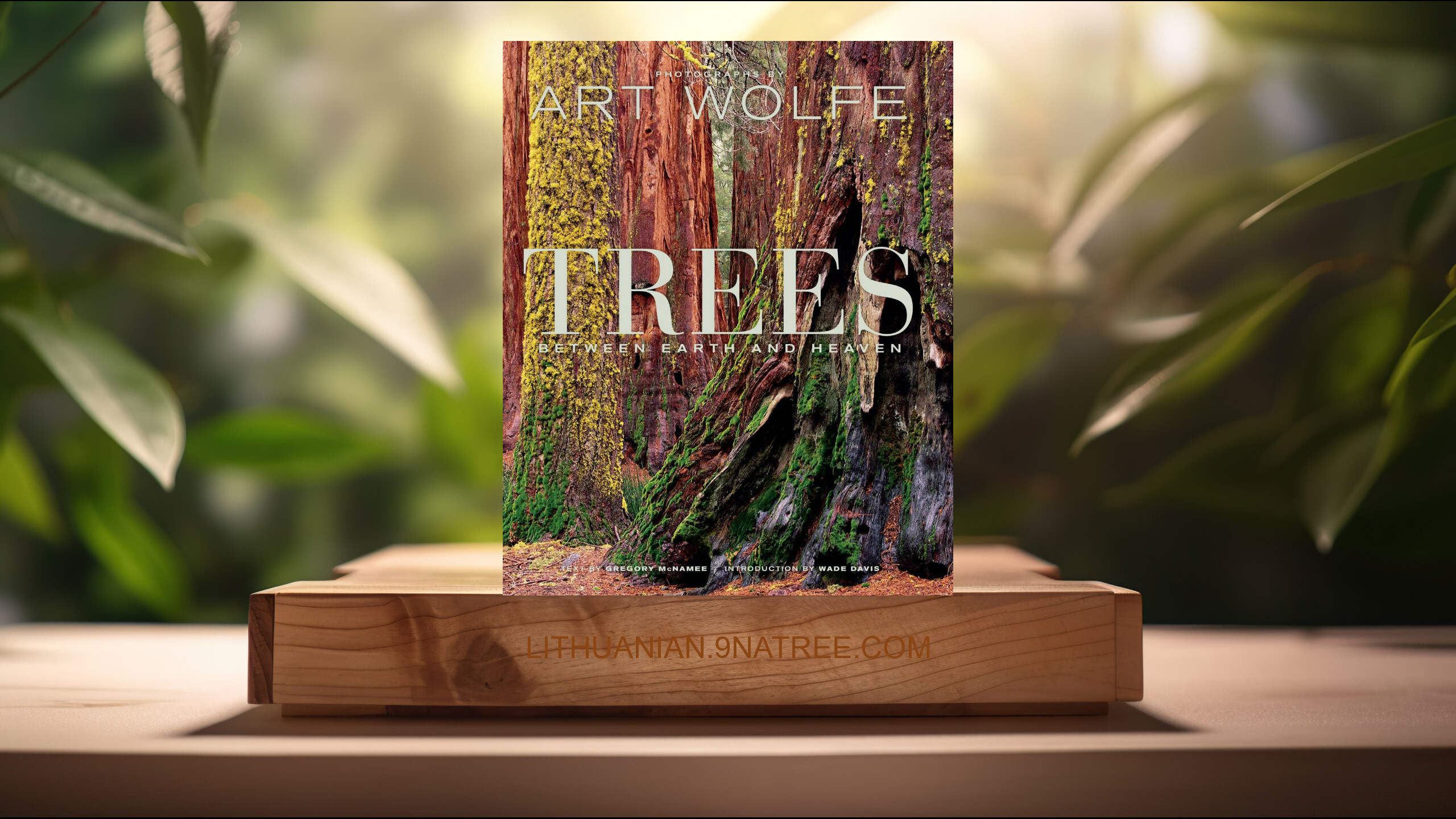[Apžvalga] Trees: Between Earth and Heaven (Gregory McNamee) Apibendrinta. episode artwork