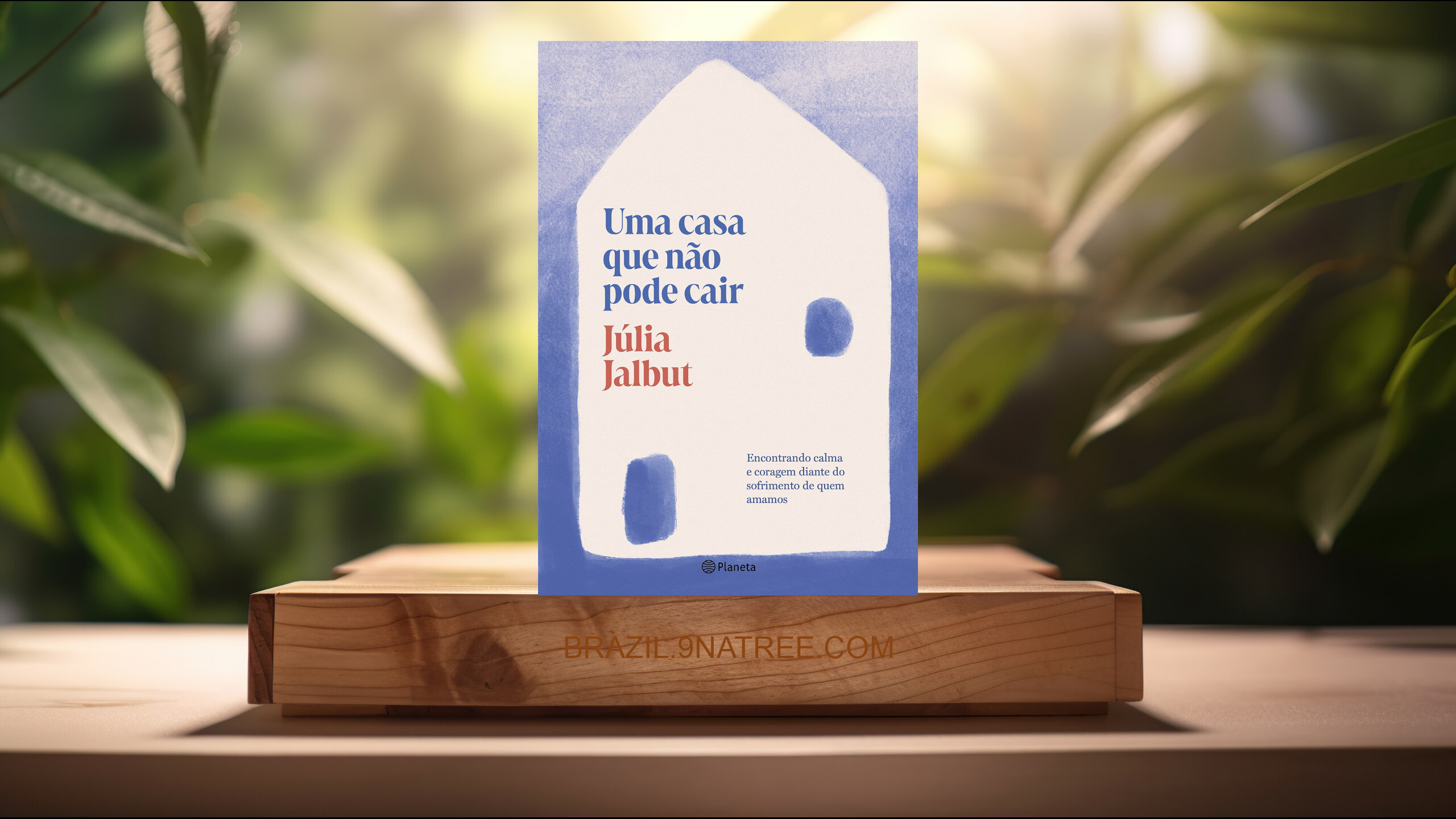 [Análises] Uma casa que não pode cair (Júlia Jalbut) Resumidos.
