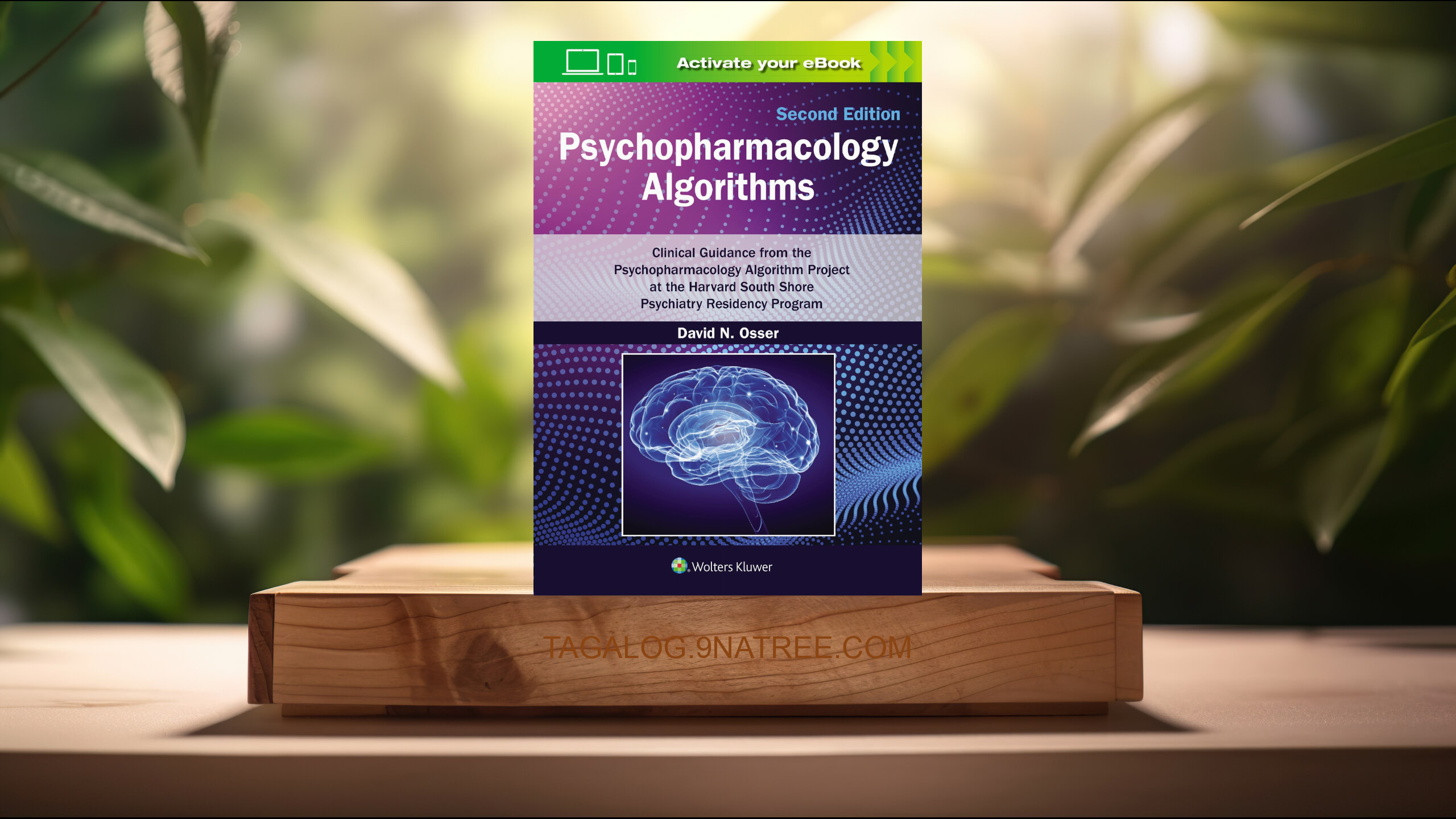 [Pagsusuri] Psychopharmacology Algorithms (DAVID N. OSSER) Nabuod.