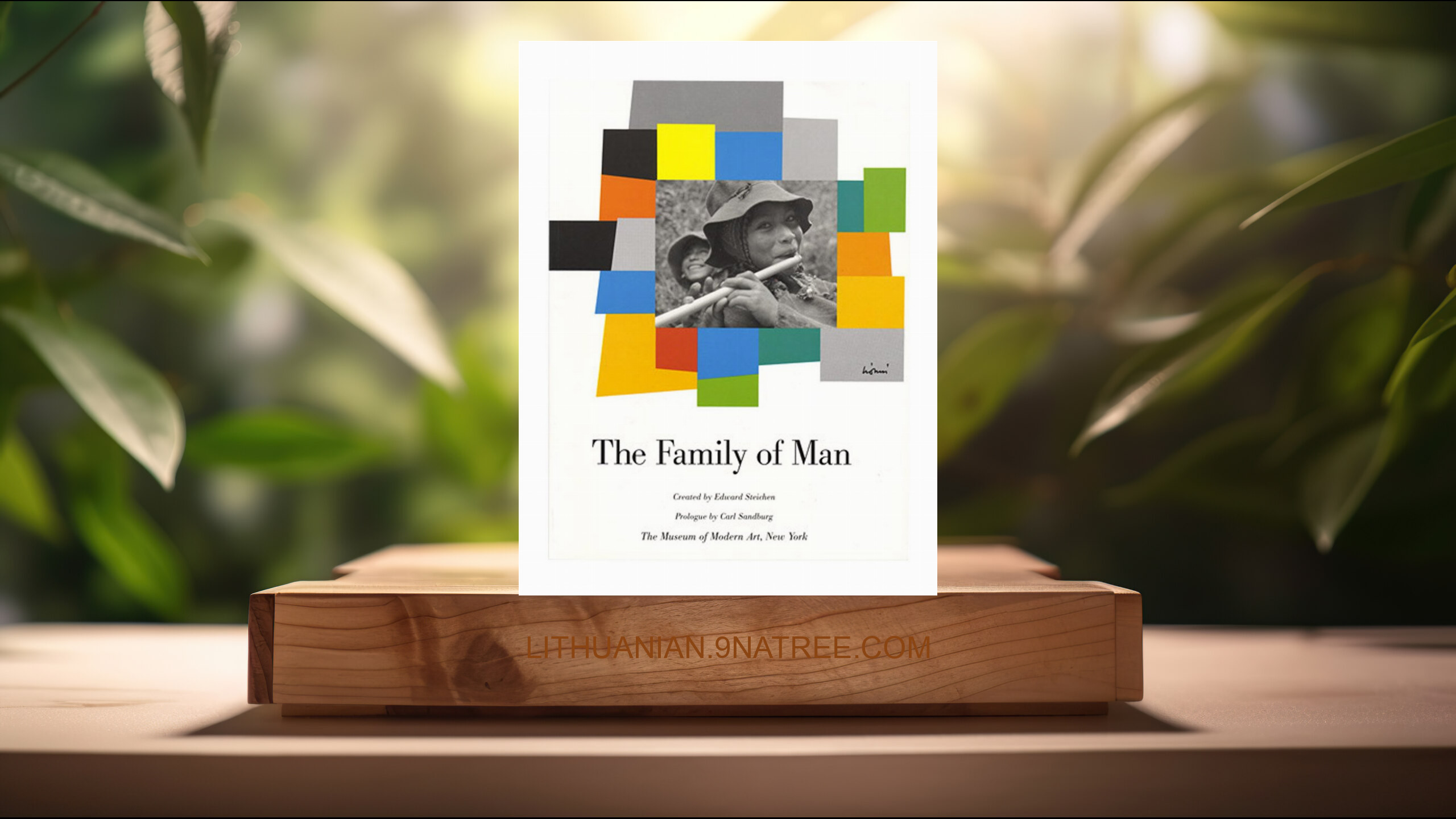 [Apžvalga] The Family Of Man (Carl Sandburg) Apibendrinta. episode artwork