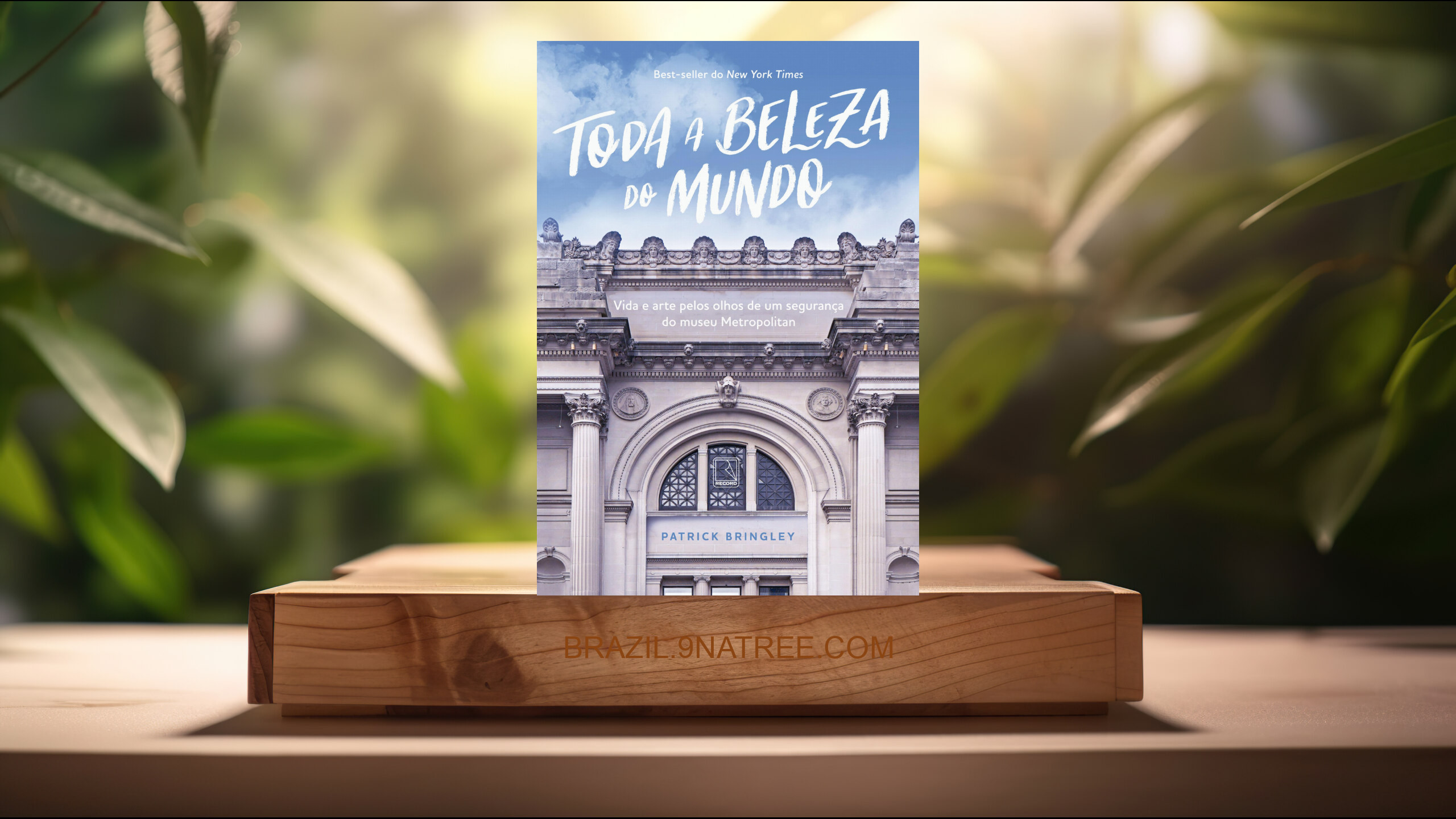 [Análises] Toda a beleza do mundo (Patrick Bringley) Resumidos.