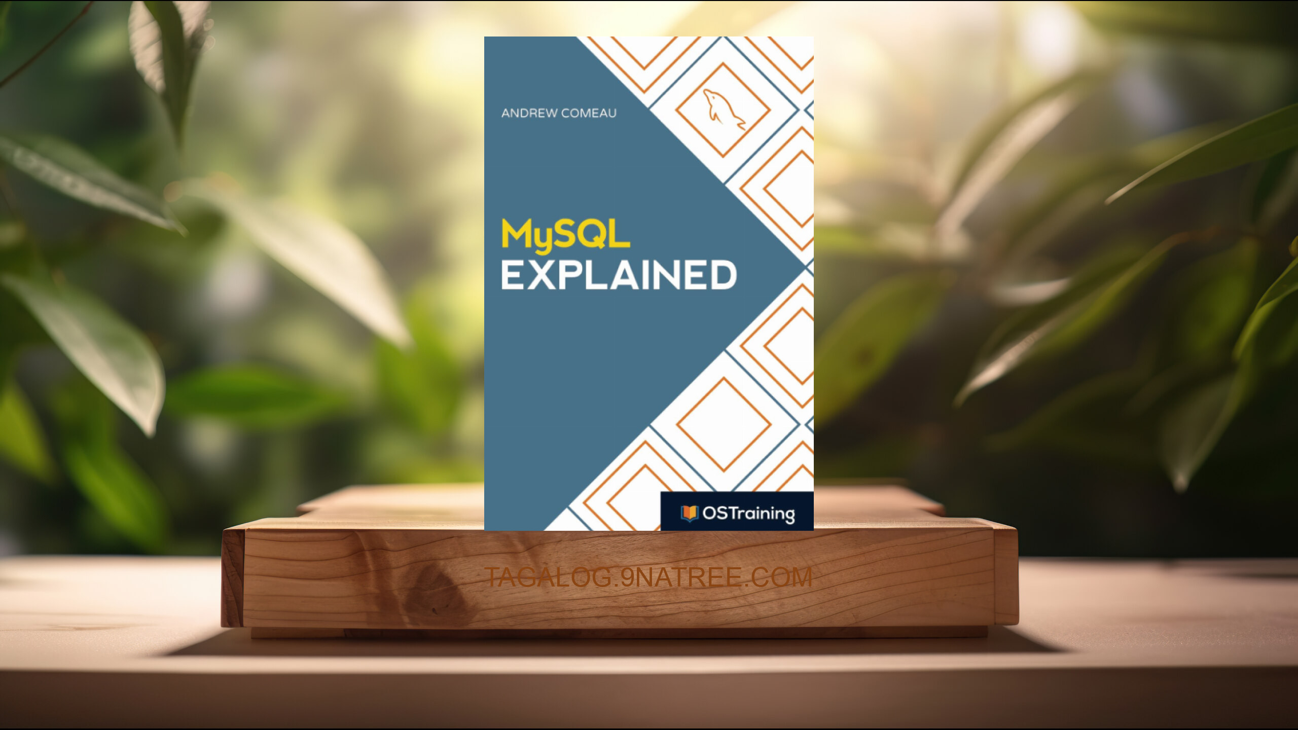 [Pagsusuri] MySQL Explained: Your Step By Step Guide to Database Design (Mr. Andrew Comeau) Nabuod.