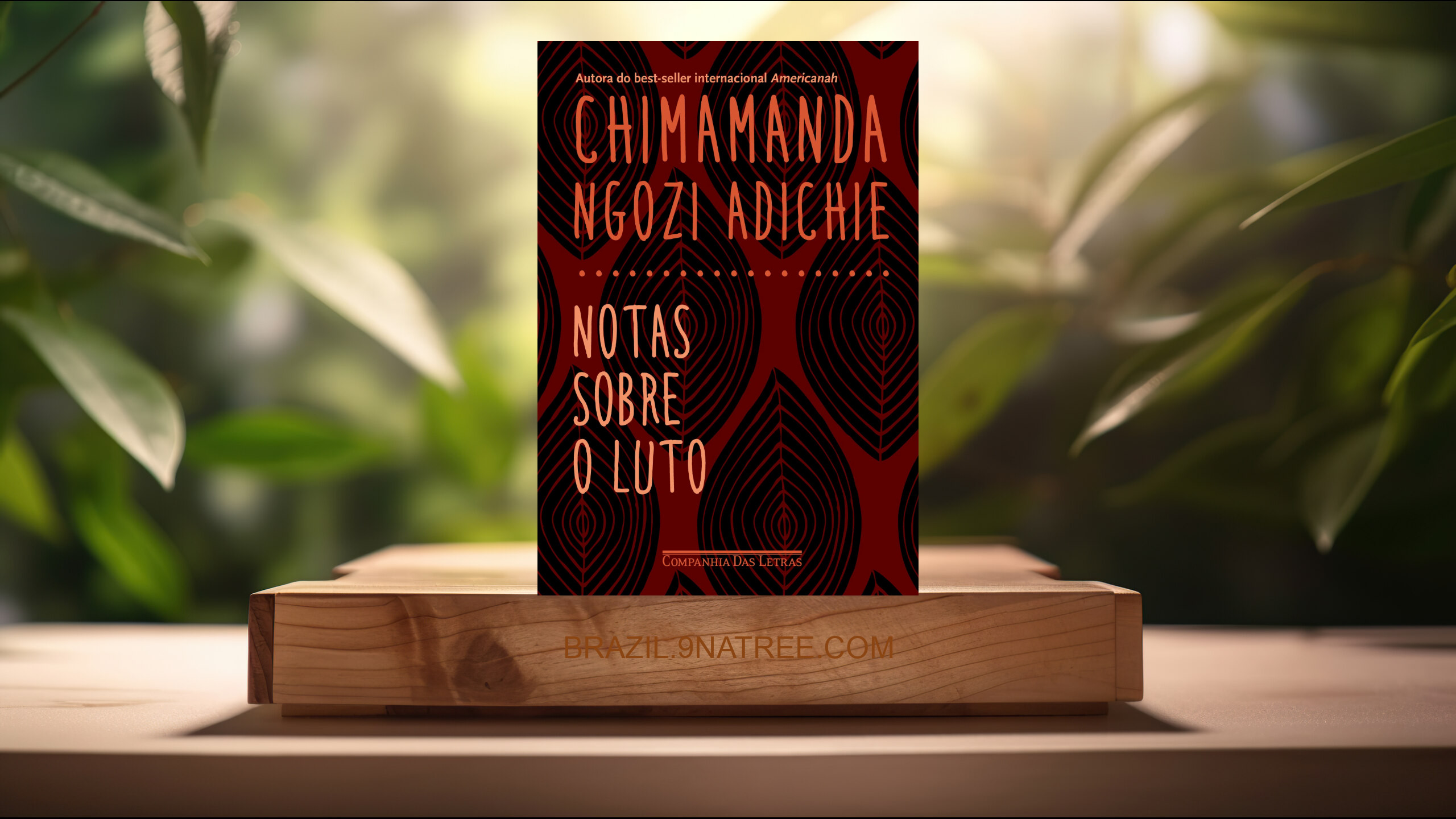 [Análises] Notas sobre o luto (Chimamanda Ngozi Adichie) Resumidos.