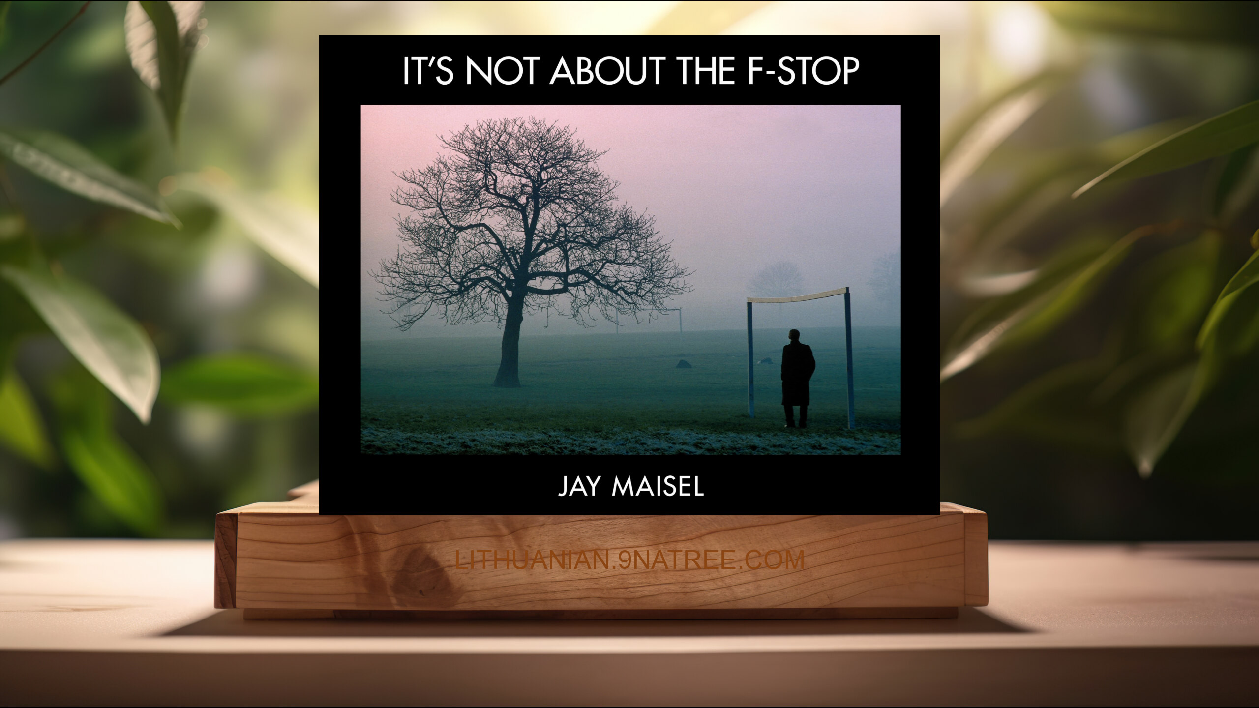 [Apžvalga] It's Not About the F-Stop  (Maisel Jay) Apibendrinta. episode artwork