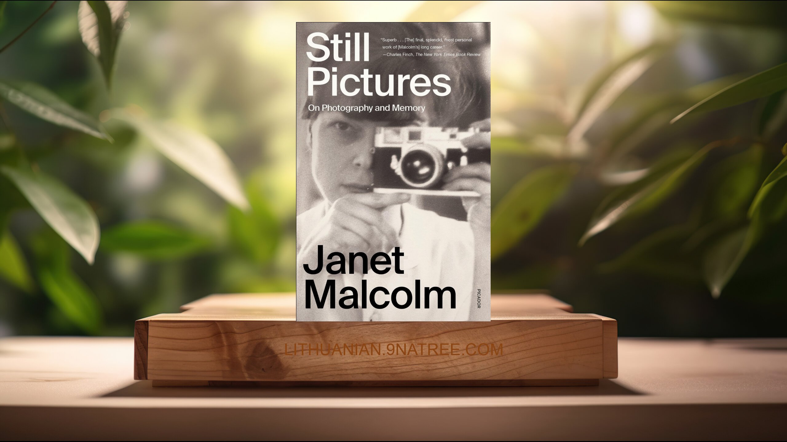 [Apžvalga] Still Pictures: On Photography and Memory (Janet Malcolm) Apibendrinta. episode artwork