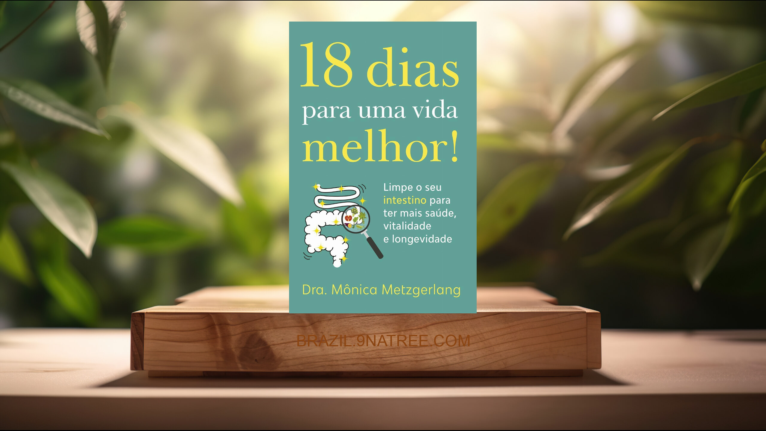 [Análises] 18 dias para uma vida melhor! Limpe seu intestino para ter mais saúde, vitalidade e longevidade (Mônica Metzgerlang Mônica Metzgerlang) Resumidos.