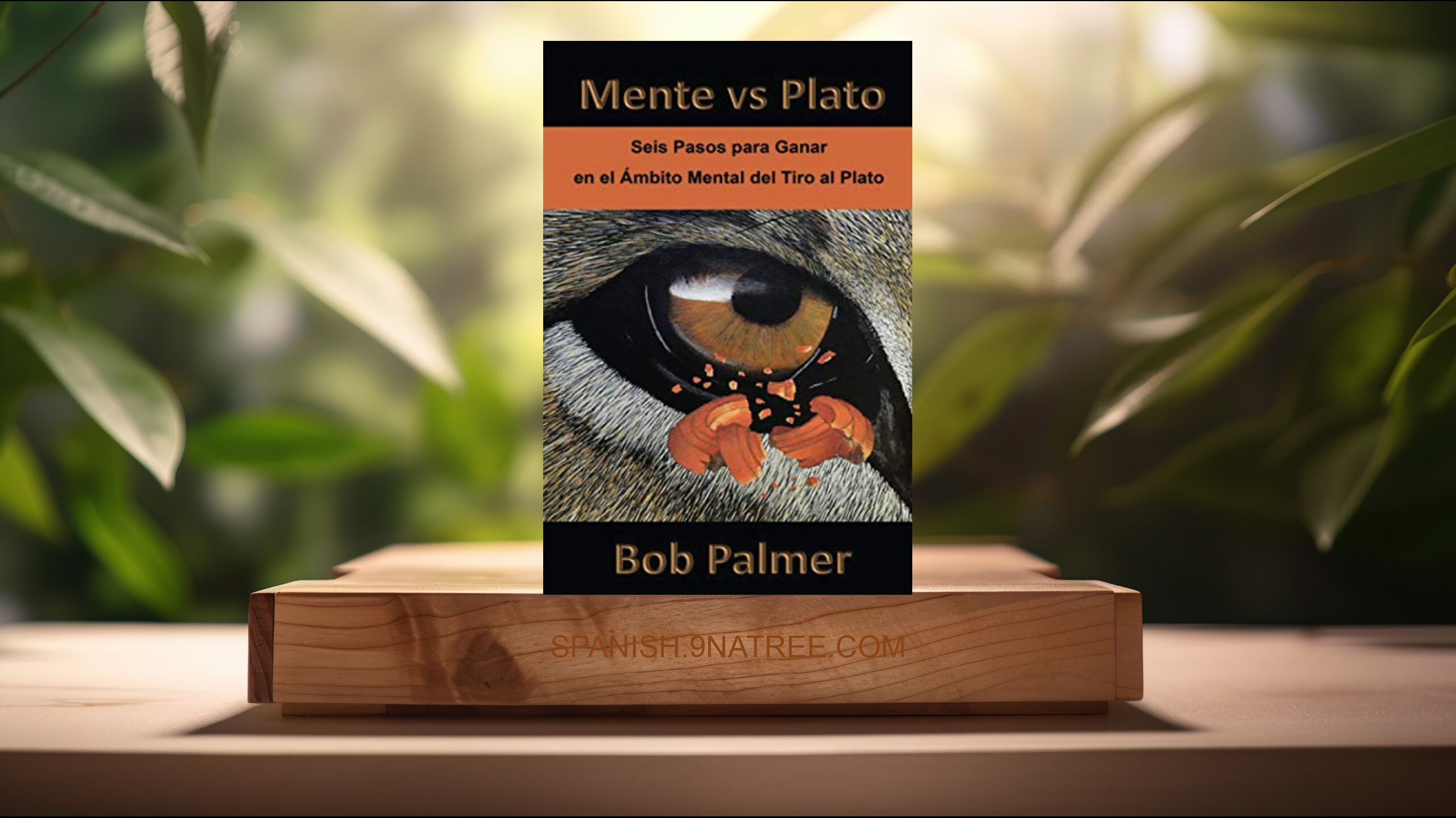 [Reseña] Mente vs Plato (Bob Palmer) Resumida.