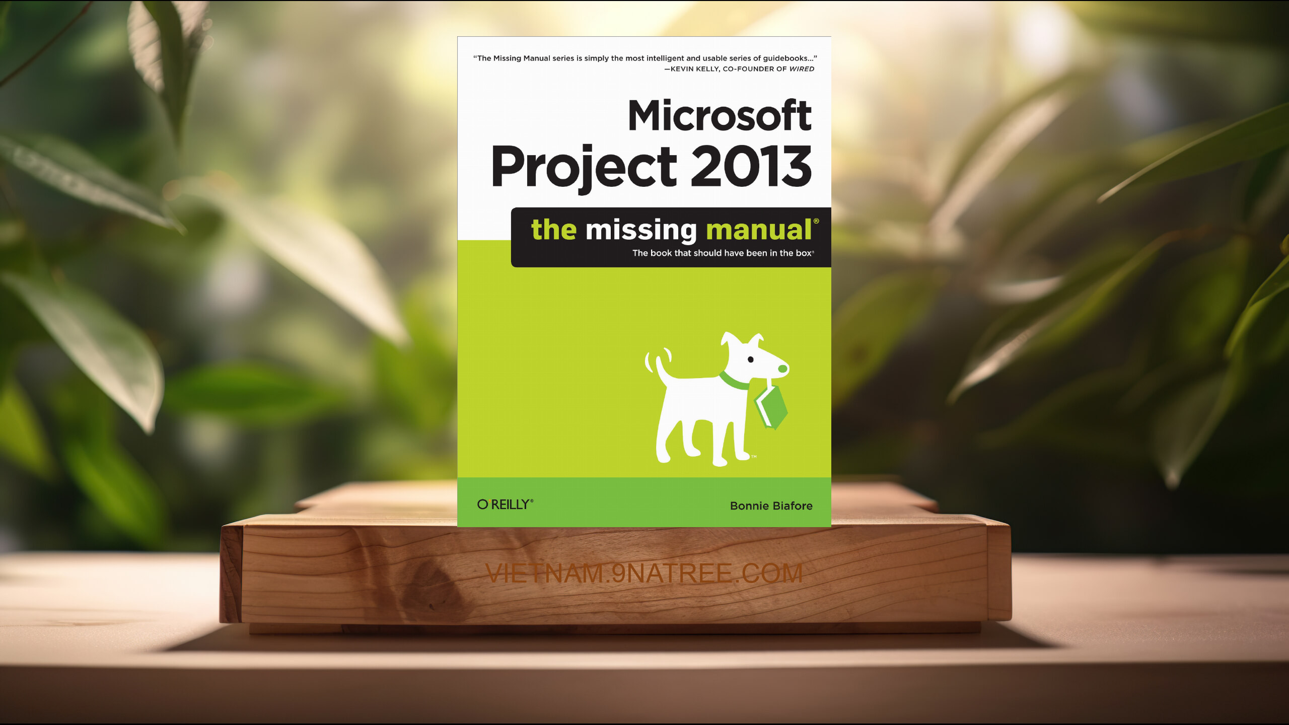 [Đánh giá] Microsoft Project 2013: The Missing Manual  (Bonnie Biafore) Tóm tắt.
