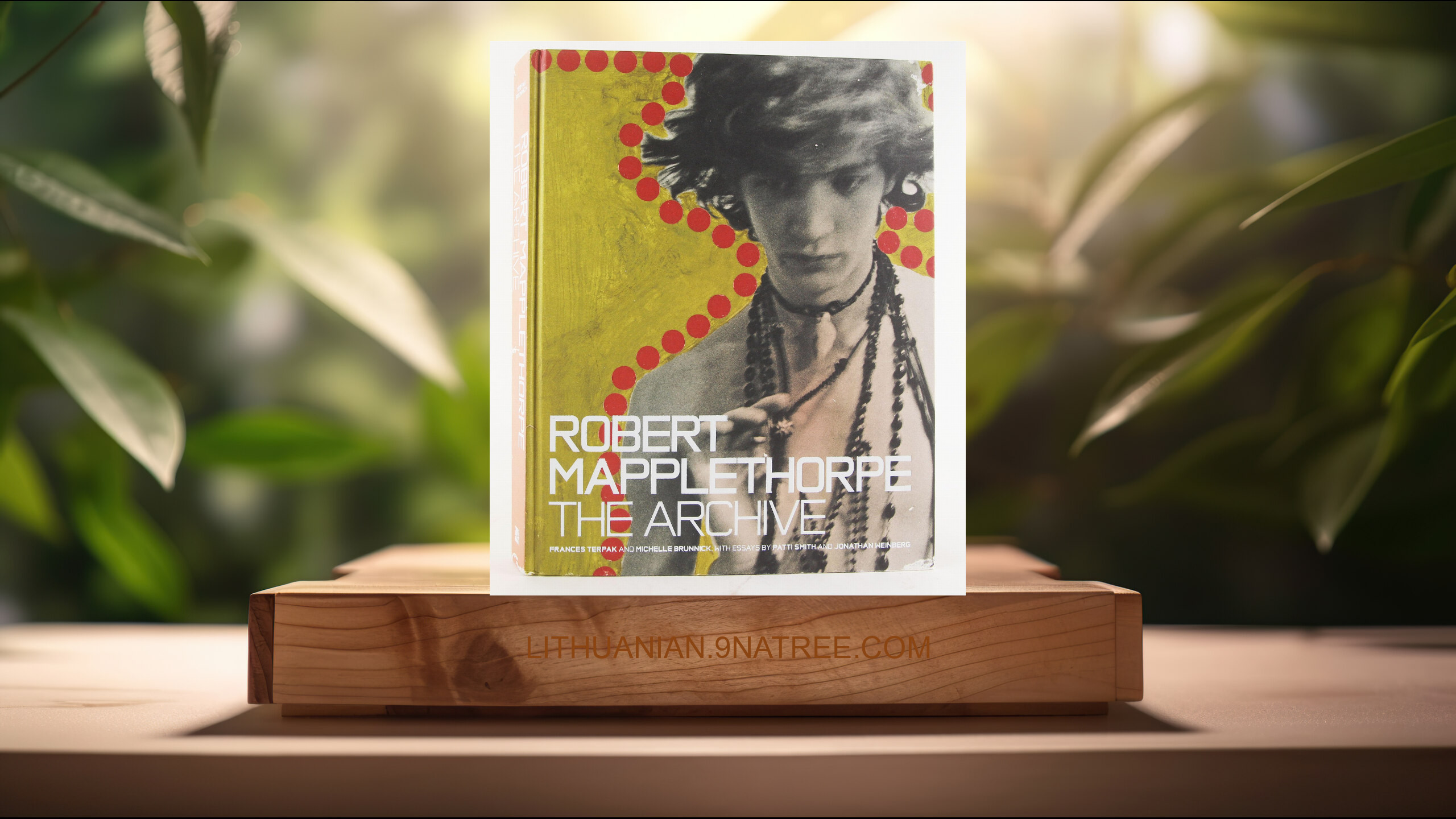 [Apžvalga] Robert Mapplethorpe: The Archive (Frances Terpak) Apibendrinta. episode artwork