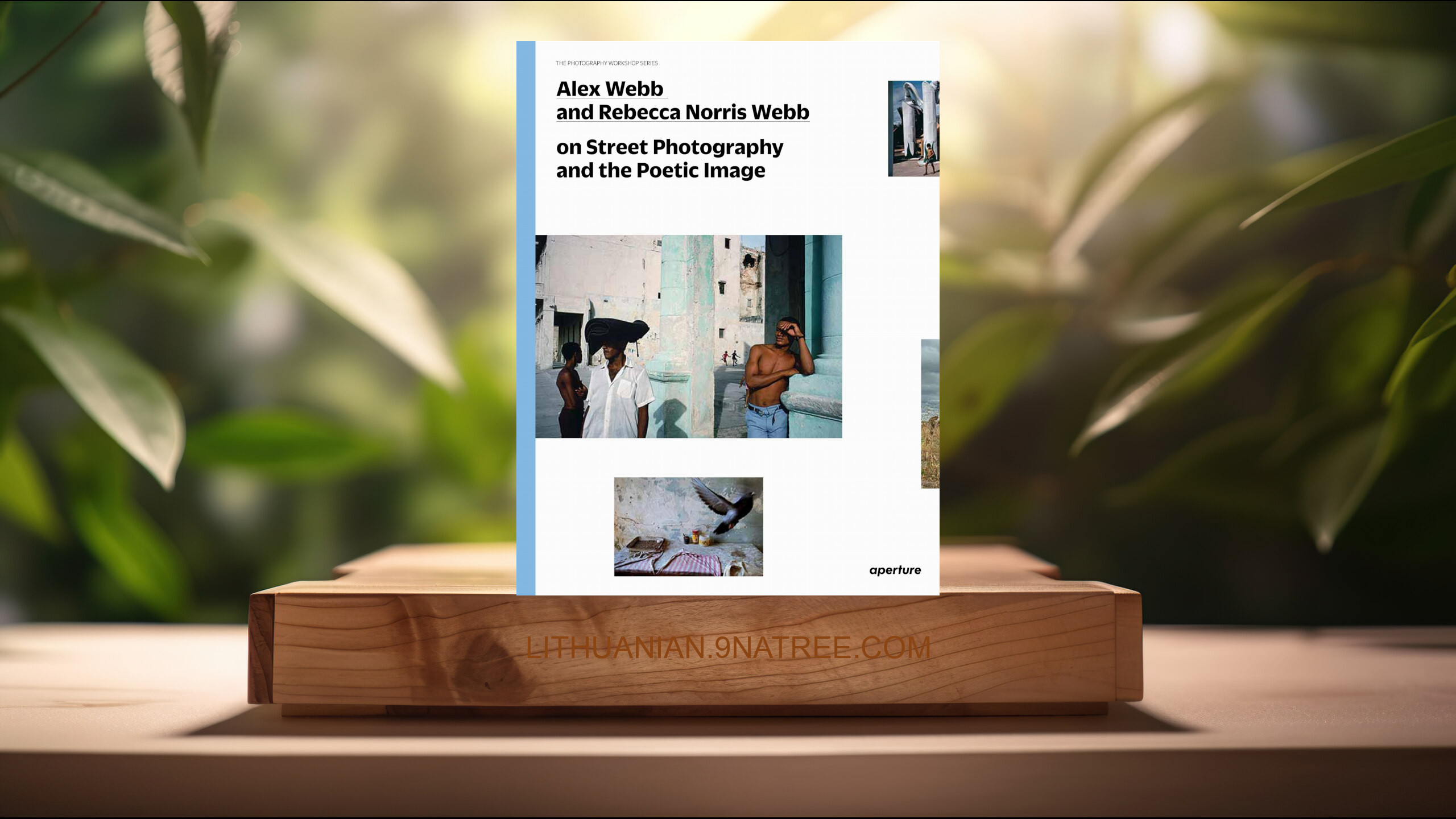 [Apžvalga] Alex Webb and Rebecca Norris Webb on Street Photography and the Poetic Image (Alex Webb) Apibendrinta. episode artwork