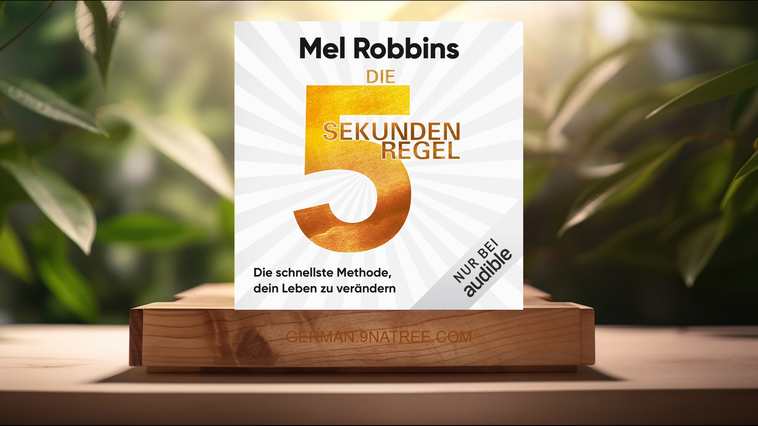 [Rezensiert] Die 5 Sekunden Regel (Mel Robbins) Zusammengefasst.