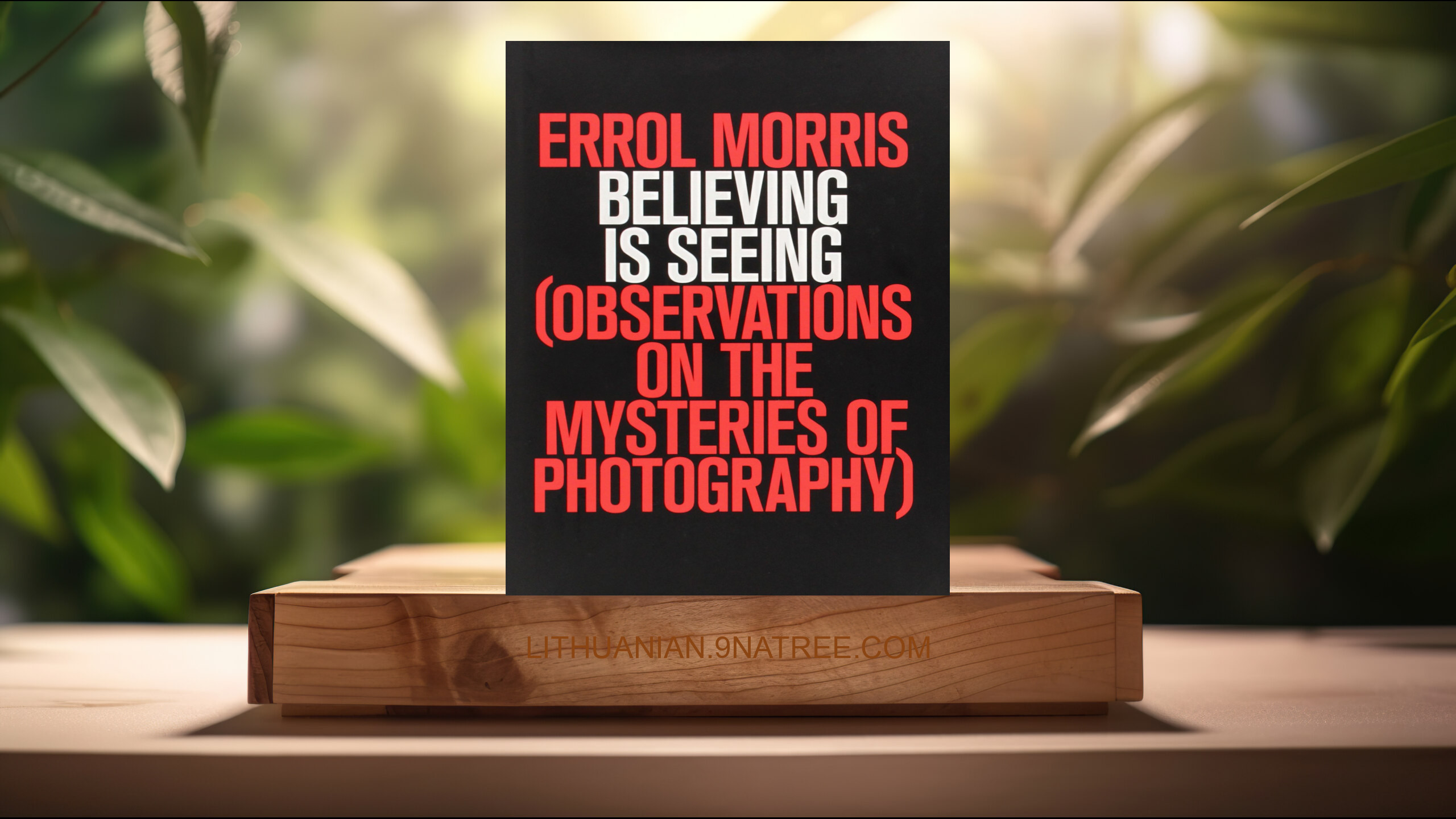 [Apžvalga] Believing Is Seeing: Observations on the Mysteries of Photography (Errol Morris) Apibendrinta. episode artwork