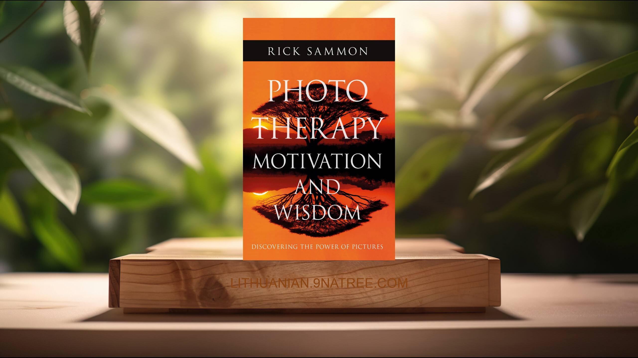 [Apžvalga] Photo Therapy Motivation and Wisdom: Discovering the Power of Pictures (Rick Sammon) Apibendrinta. episode artwork