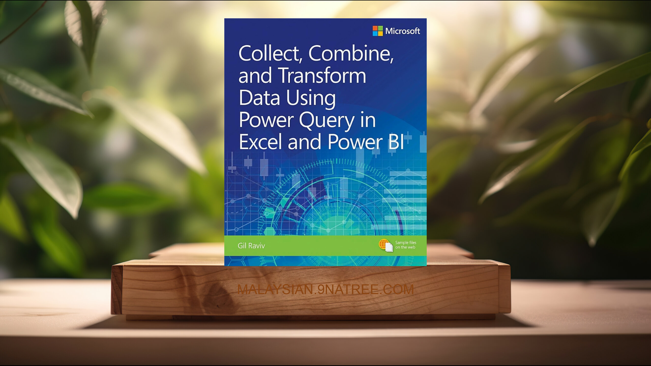 [Ulasan] Collect, Combine, and Transform Data Using Power Query in Excel and Power BI  (Gil Raviv) Diringkaskan.
