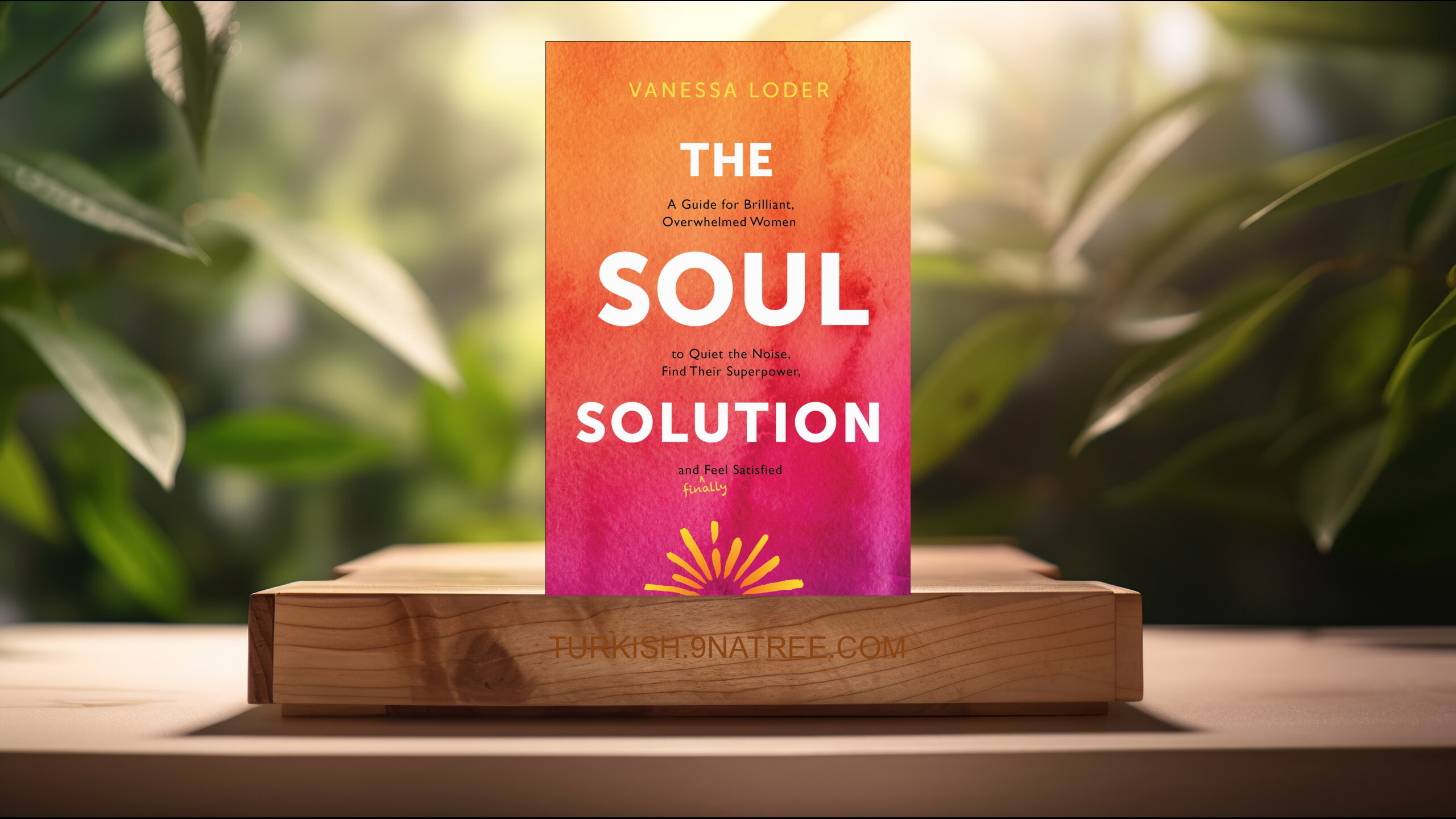 [İncelemesi] The Soul Solution (Vanessa Loder) Özeti.