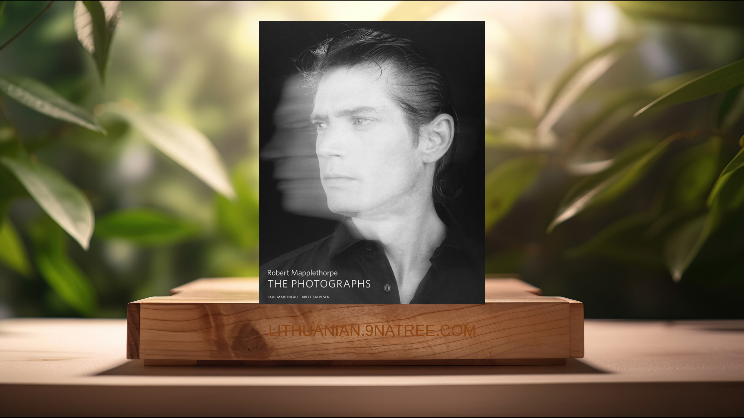 [Apžvalga] Robert Mapplethorpe: The Photographs (Paul Martineau) Apibendrinta. episode artwork