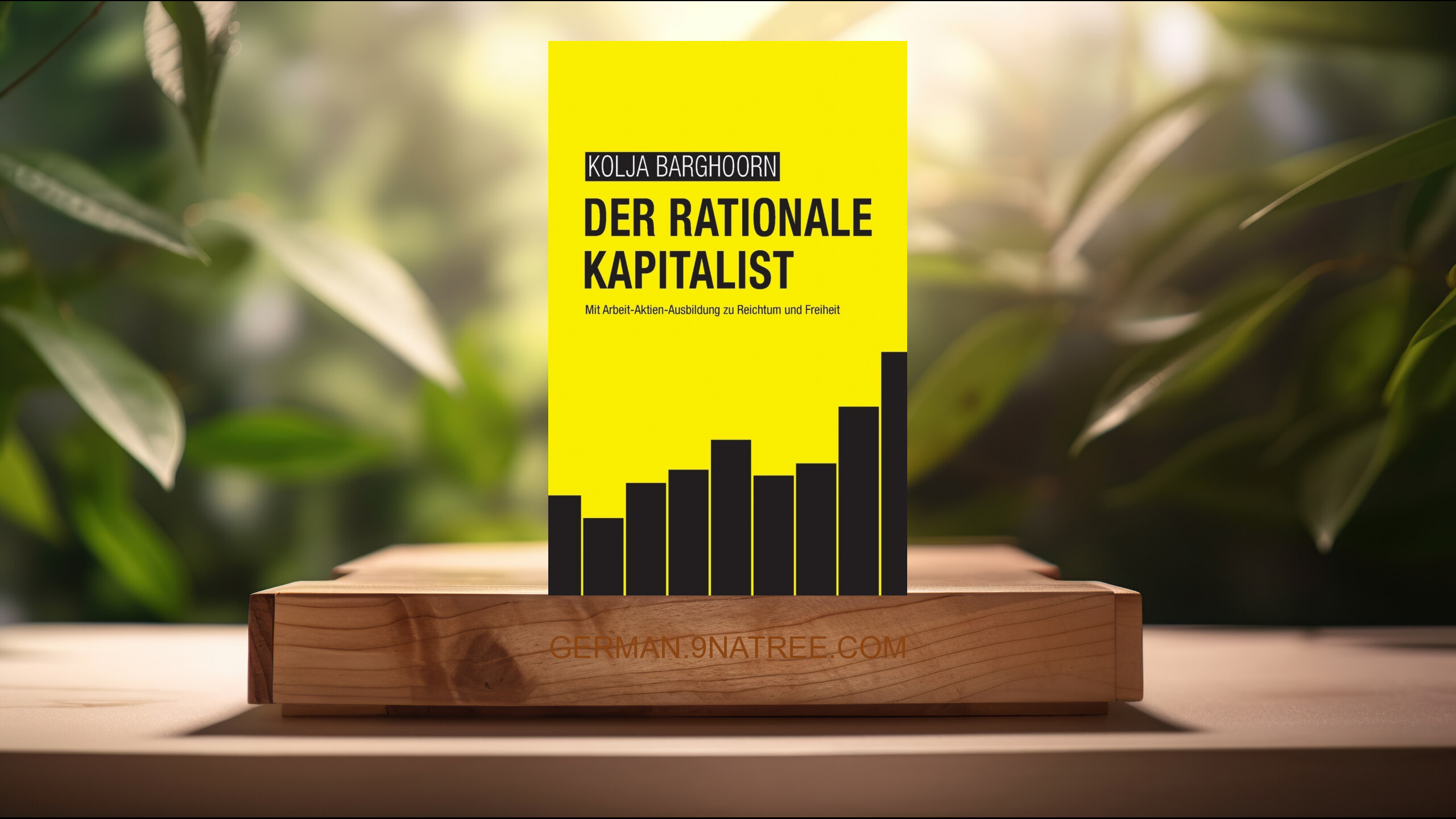 [Rezensiert] Der rationale Kapitalist (Kolja Barghoorn) Zusammengefasst.
