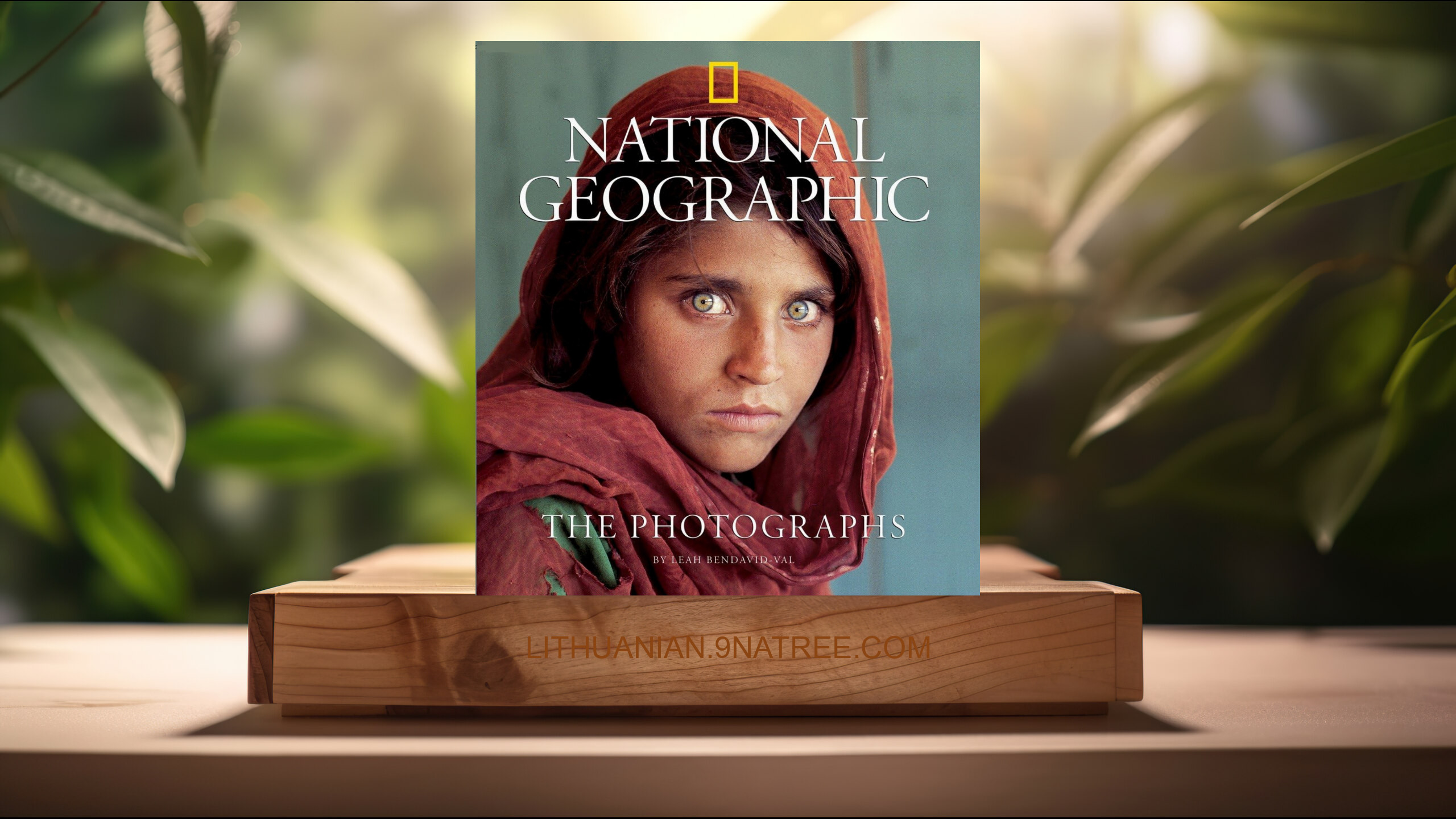 [Apžvalga] National Geographic: The Photographs  (Leah Bendavid-Val) Apibendrinta. episode artwork