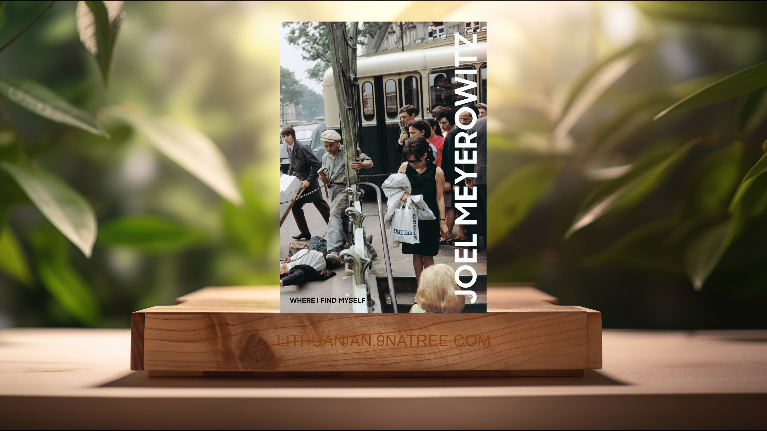 [Apžvalga] Joel Meyerowitz: Where I Find Myself: A Lifetime Retrospective (Joel Meyerowitz) Apibendrinta. episode artwork