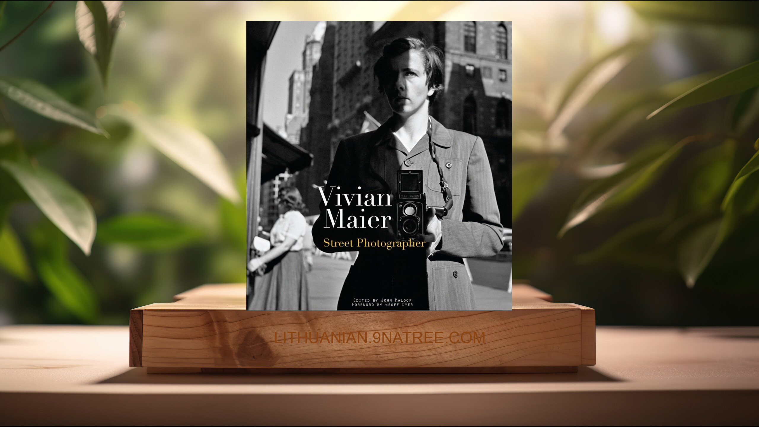 [Apžvalga] Vivian Maier: Street Photographer (Vivian Maier) Apibendrinta. episode artwork