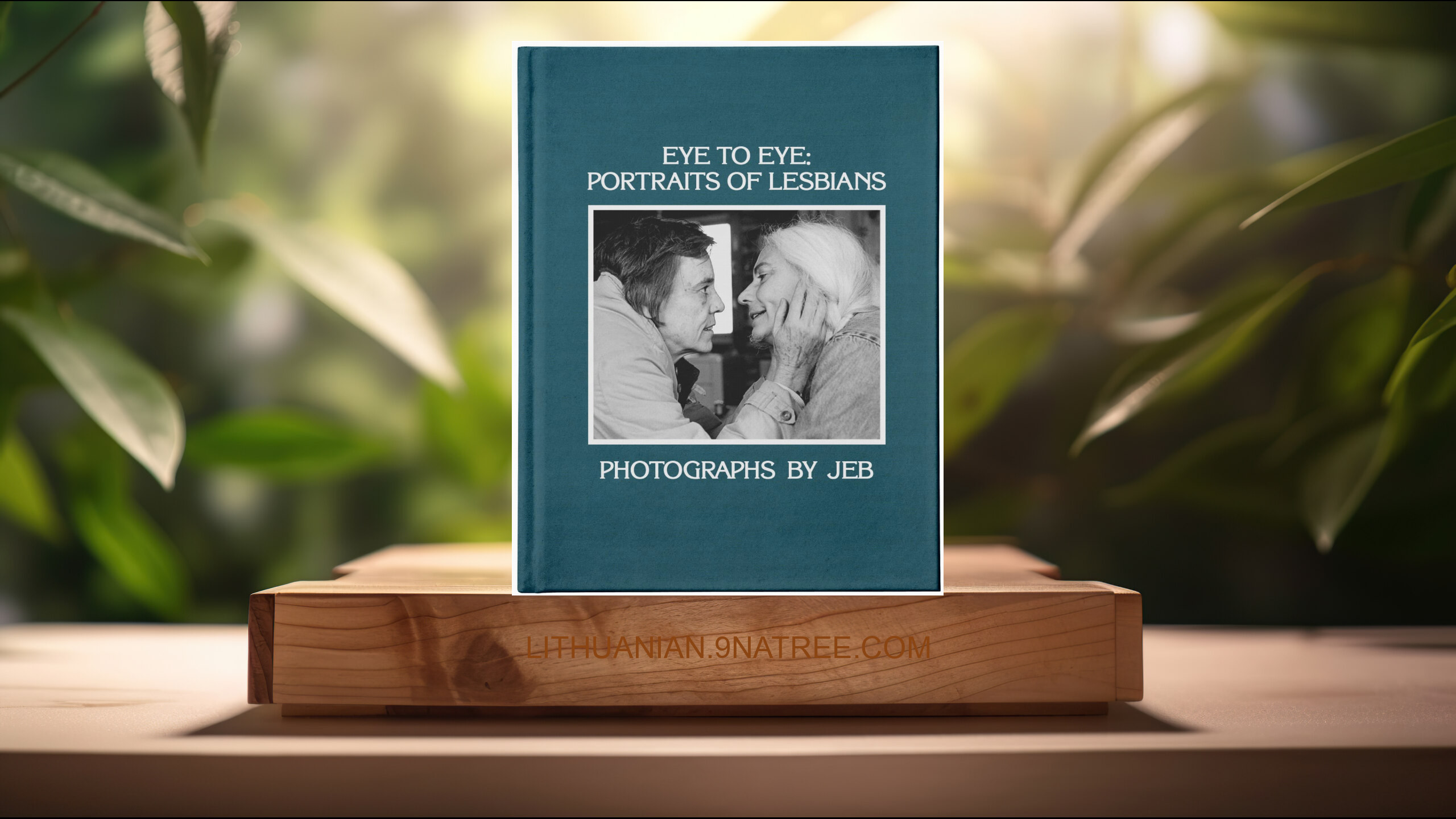[Apžvalga] Eye to Eye: Portraits of Lesbians (JEB) Apibendrinta. episode artwork