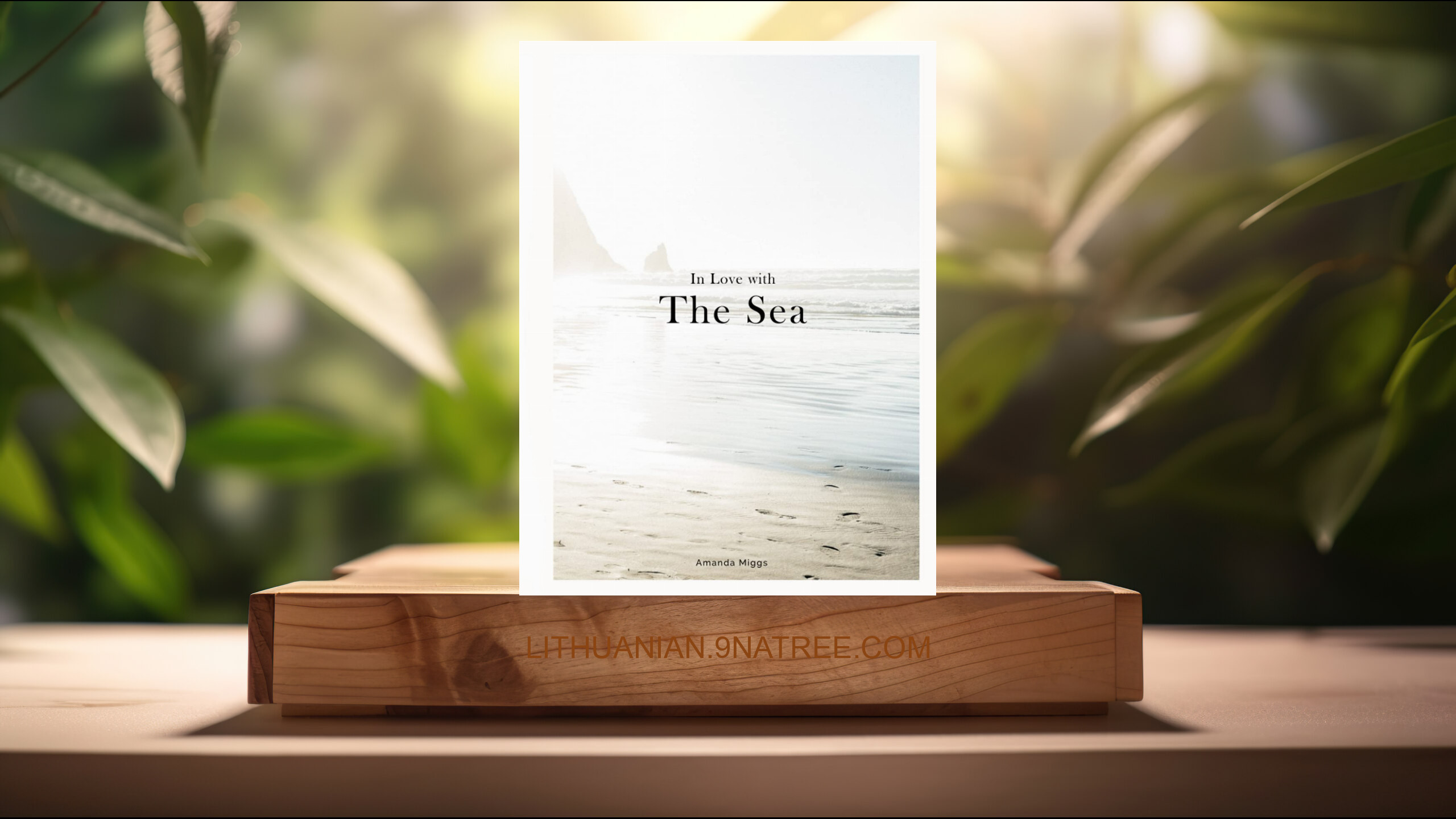 [Apžvalga] In Love With The Sea (Amanda Miggs) Apibendrinta. episode artwork