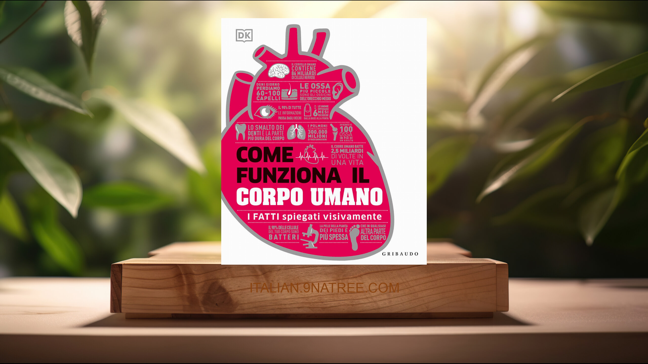 [Recensione] Come funziona il corpo umano (Aavv) Riassunto.