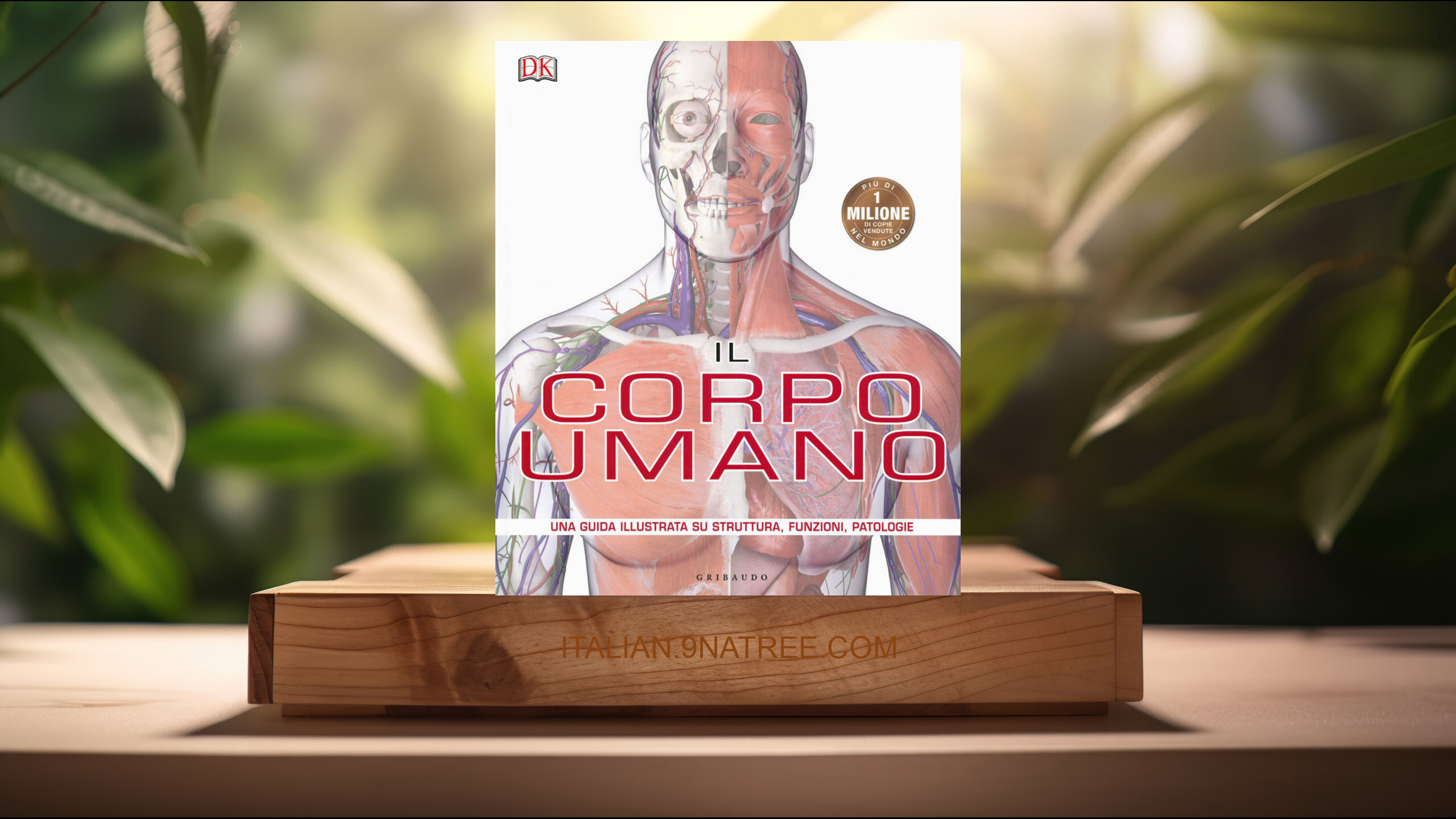 [Recensione] Il corpo umano. Una guida illustrata su struttura, funzioni e patologie  (Steve Parker) Riassunto.