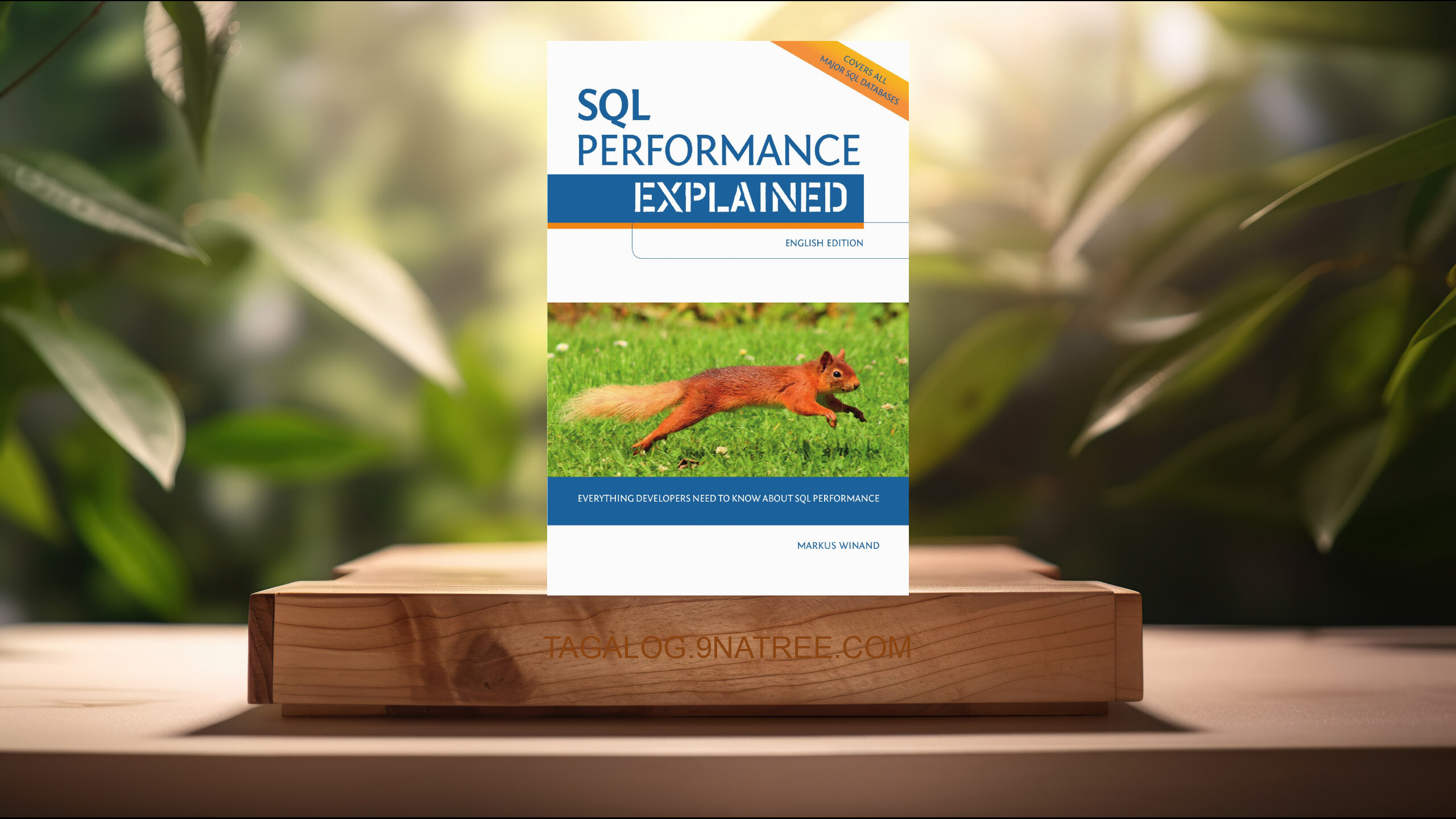[Pagsusuri] SQL Performance Explained Everything Developers Need to Know about SQL Performance (Markus Winand) Nabuod.