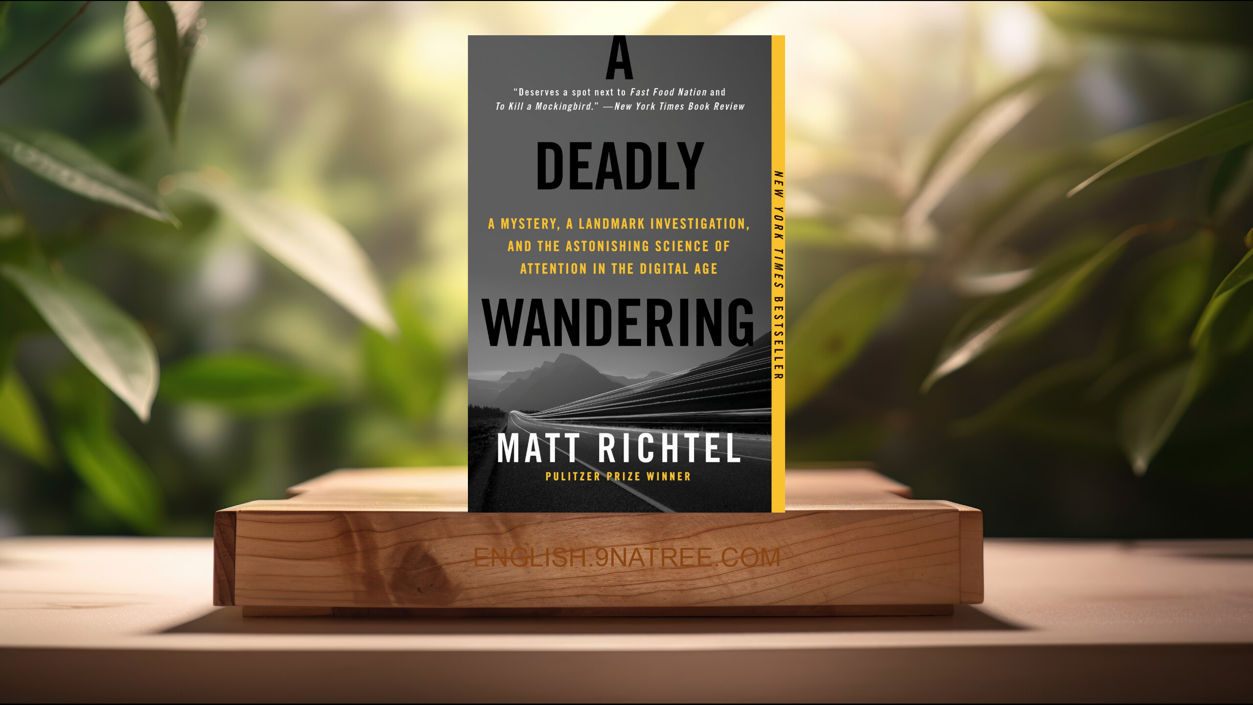 [Review] A Deadly Wandering (Matt Richtel) Summarized.