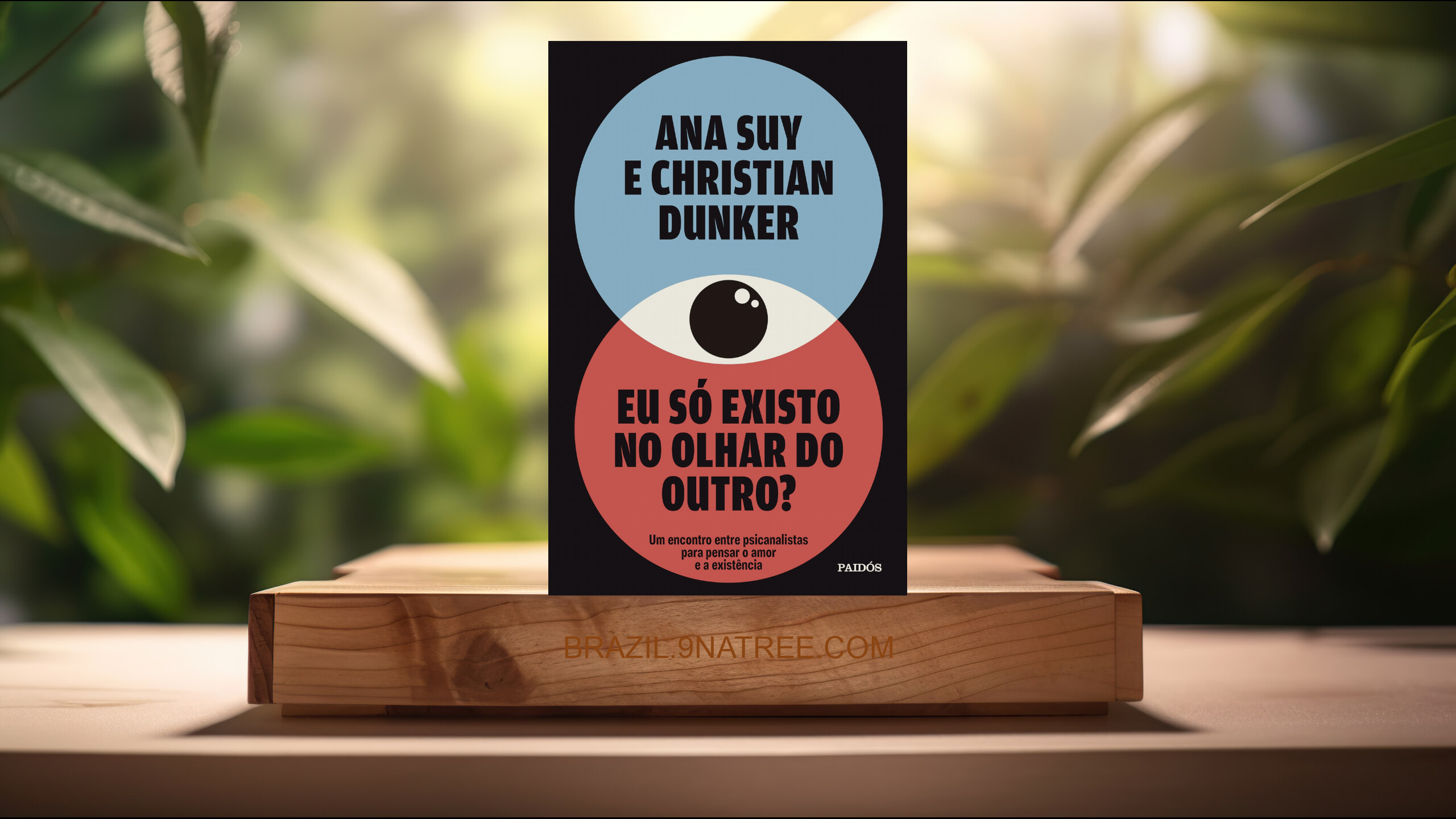 [Análises] Eu só existo no olhar do outro? (Ana Suy) Resumidos.
