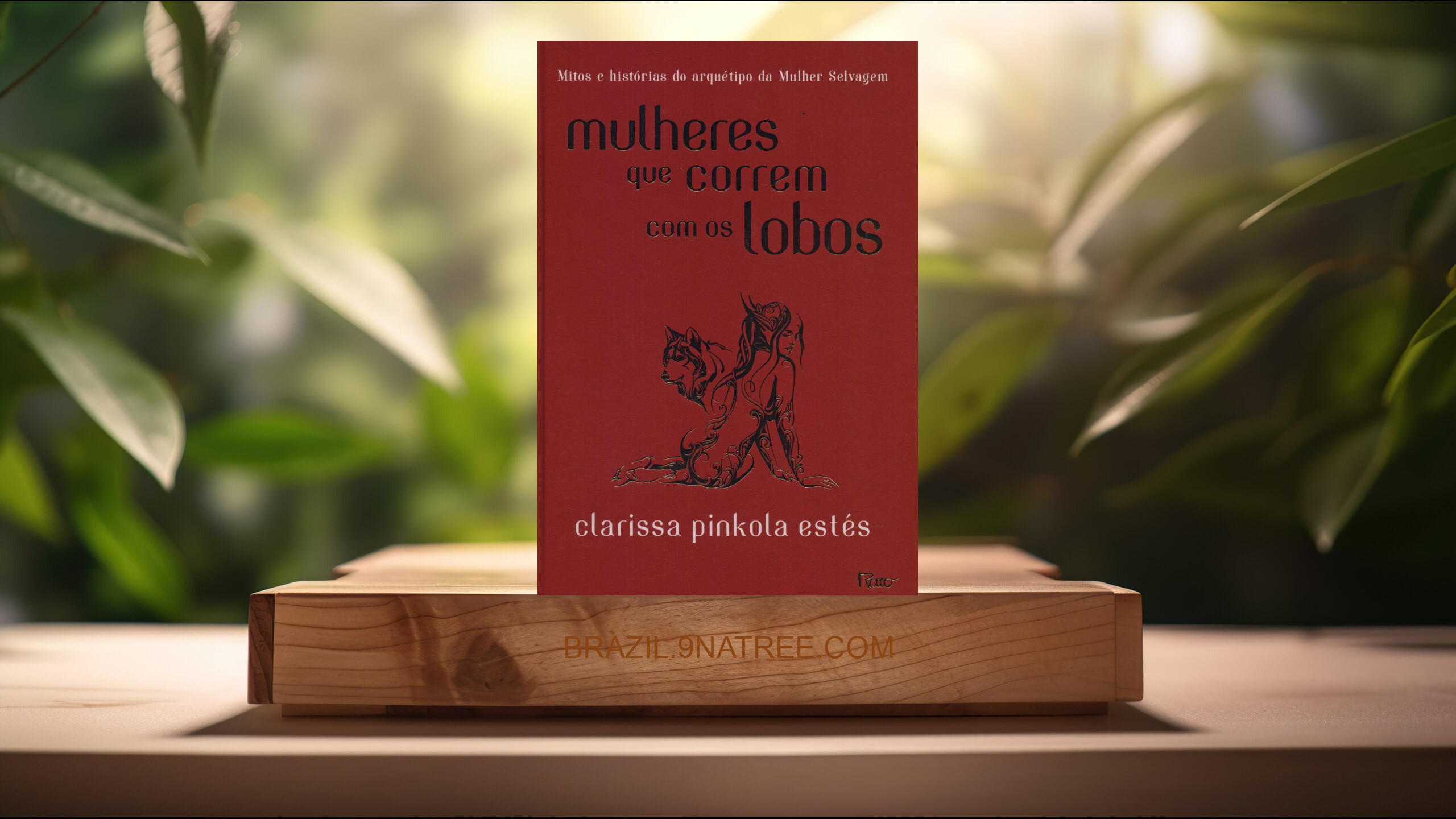 [Análises] Mulheres que correm com os lobos (Clarissa Pinkola Estés) Resumidos.