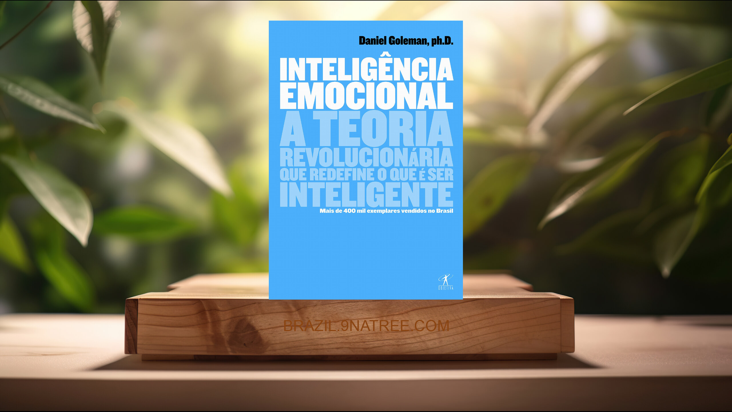 [Análises] Inteligência emocional (Daniel Goleman) Resumidos.