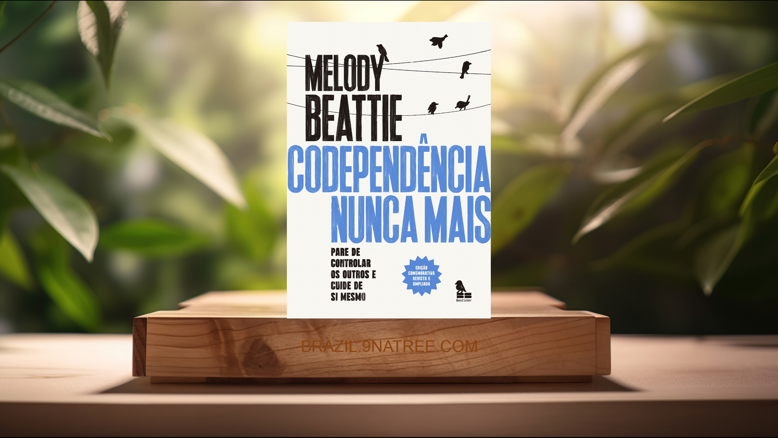 [Análises] Codependência nunca mais (Melody Beattie) Resumidos.